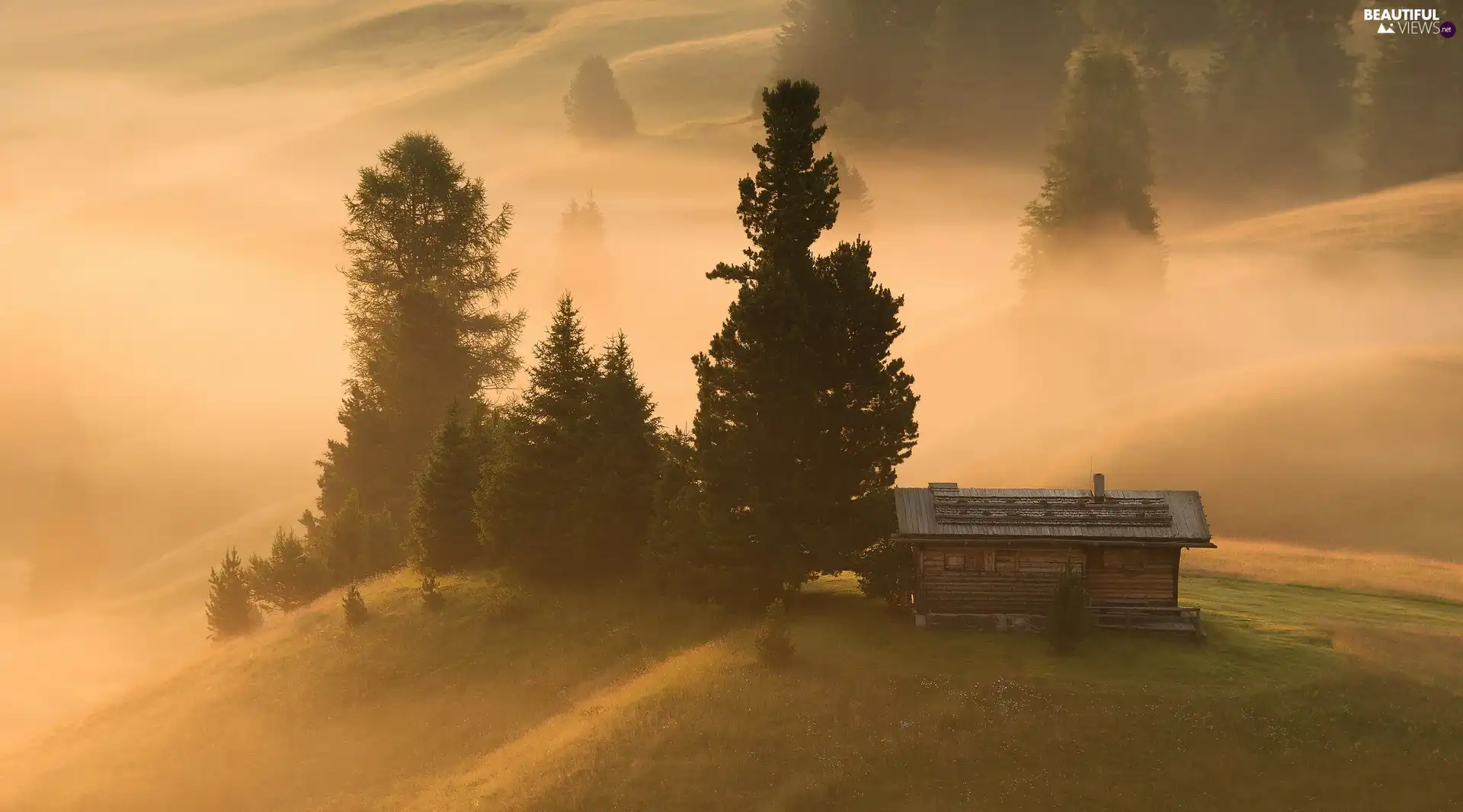 Fog, wooden, viewes, Home, Seiser Alm Meadow, trees, Italy