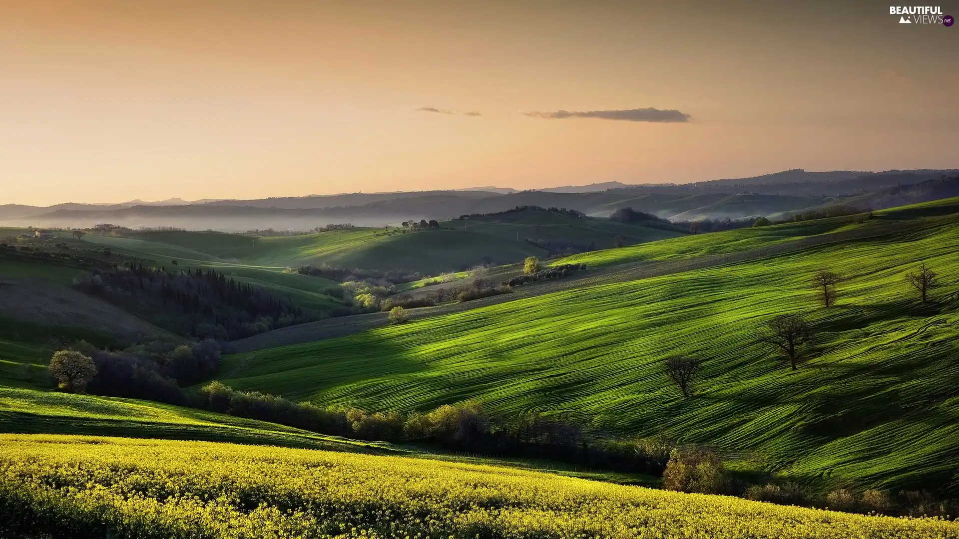 Fog, hills, Meadow