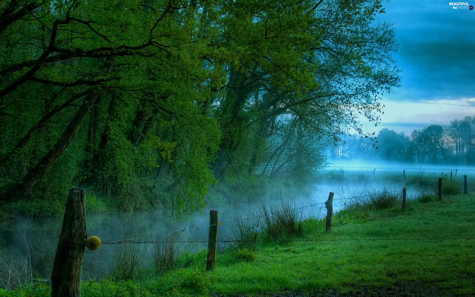 Fog, Meadow, viewes, fence, trees