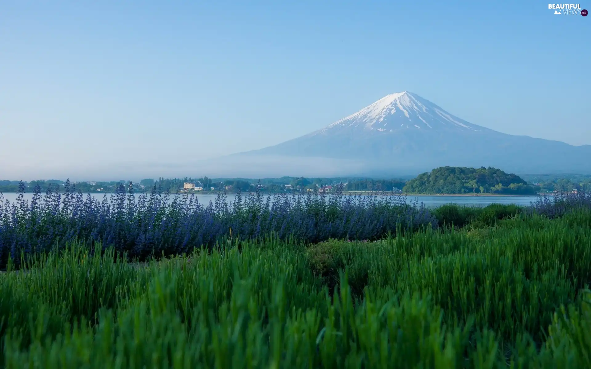 Fog, volcano, Meadow
