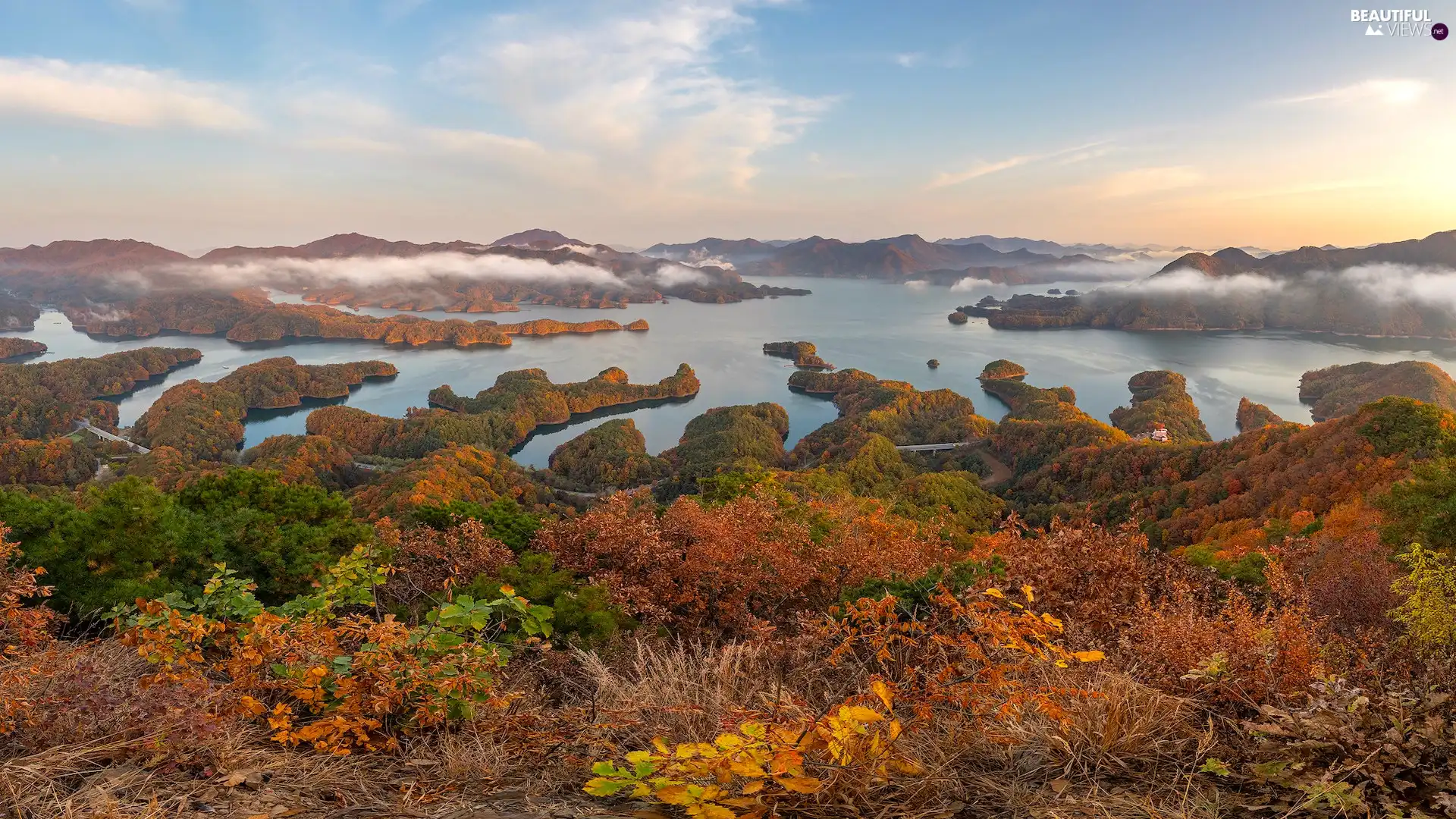 VEGETATION, Fog, Mountains, autumn, sea