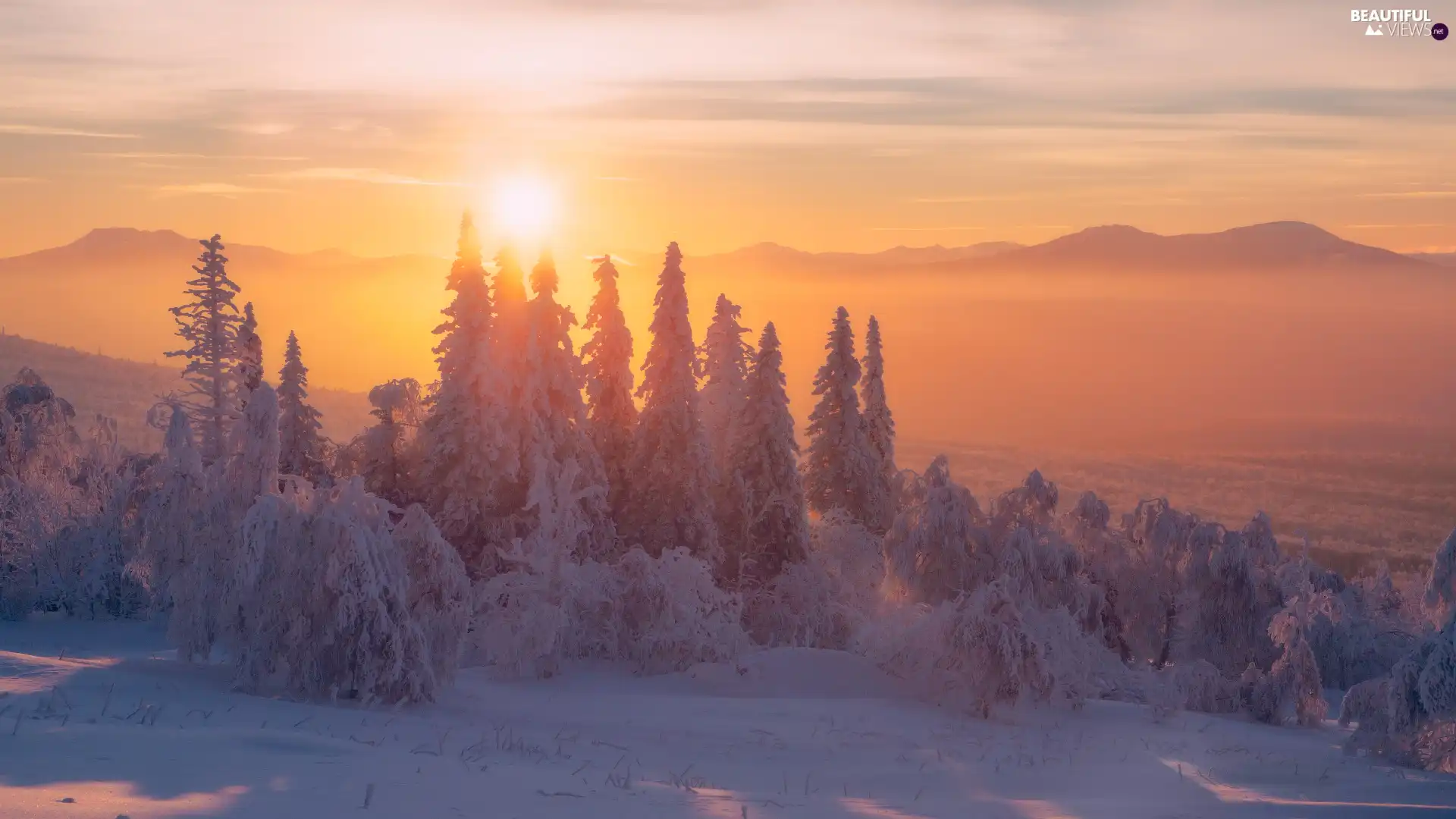 Snowy, winter, Sunrise, Fog, Spruces, Mountains