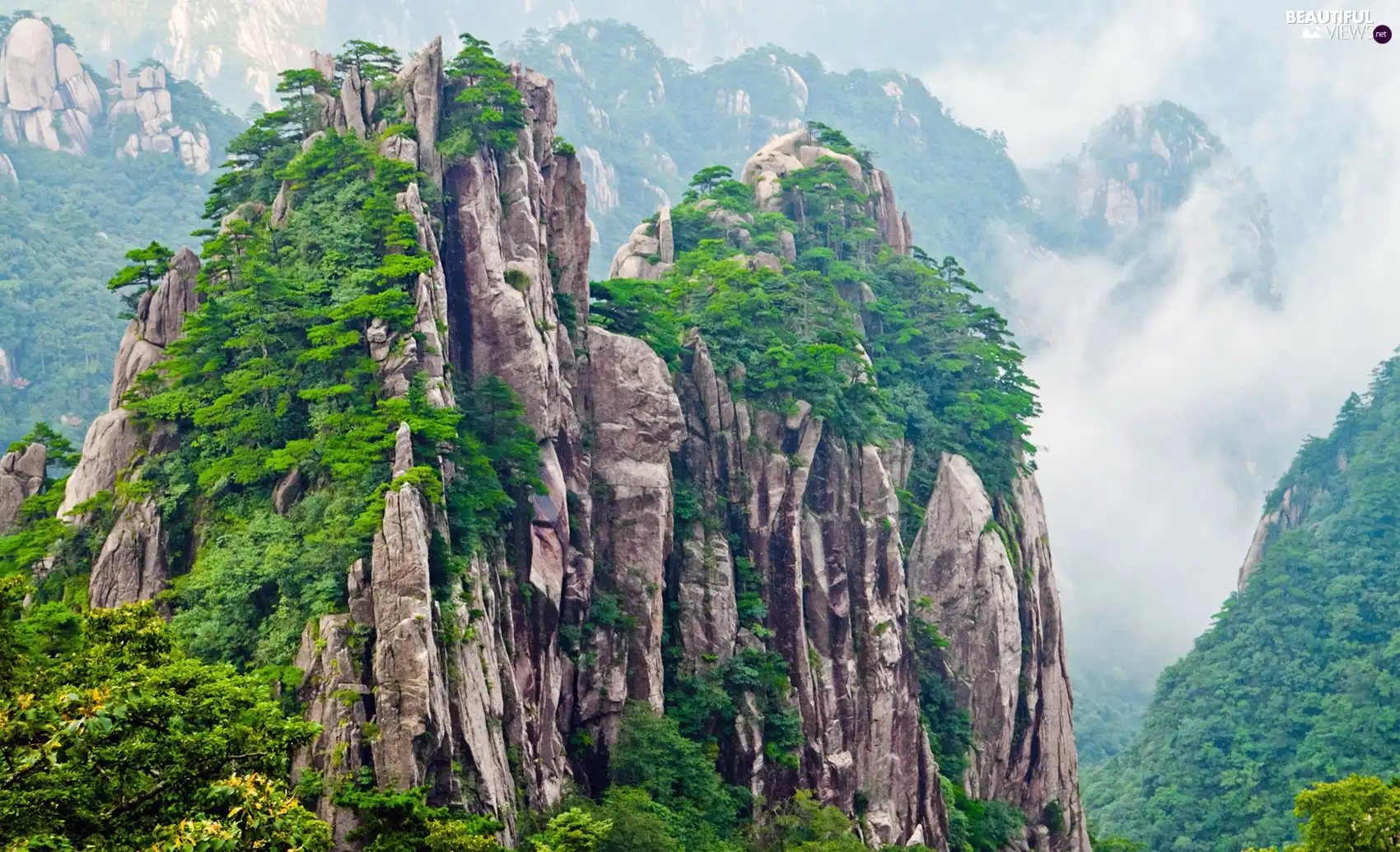 Mountains, VEGETATION, Fog, peaks