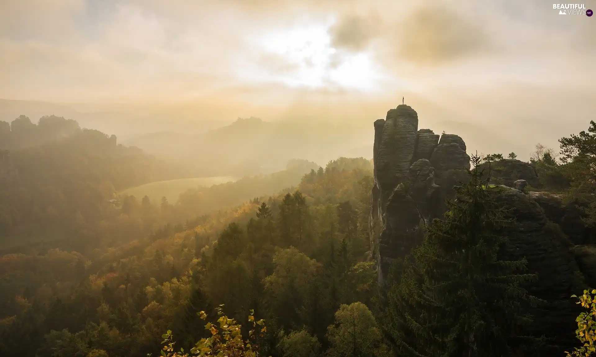 Saxon Switzerland National Park, Bastei Rock Formation, Fog, rocks, viewes, Děčínská vrchovina, Germany, trees