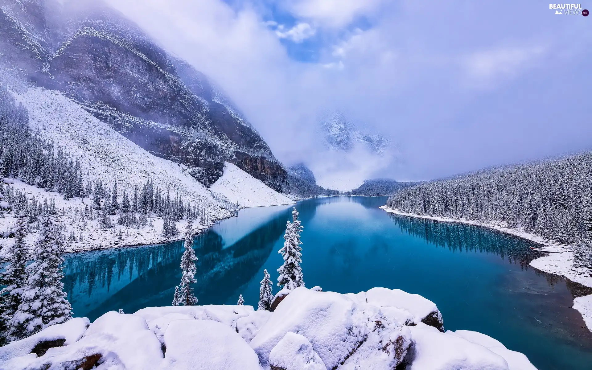 Snowy Banff National Park Trees Woods Fog Canada Province Of