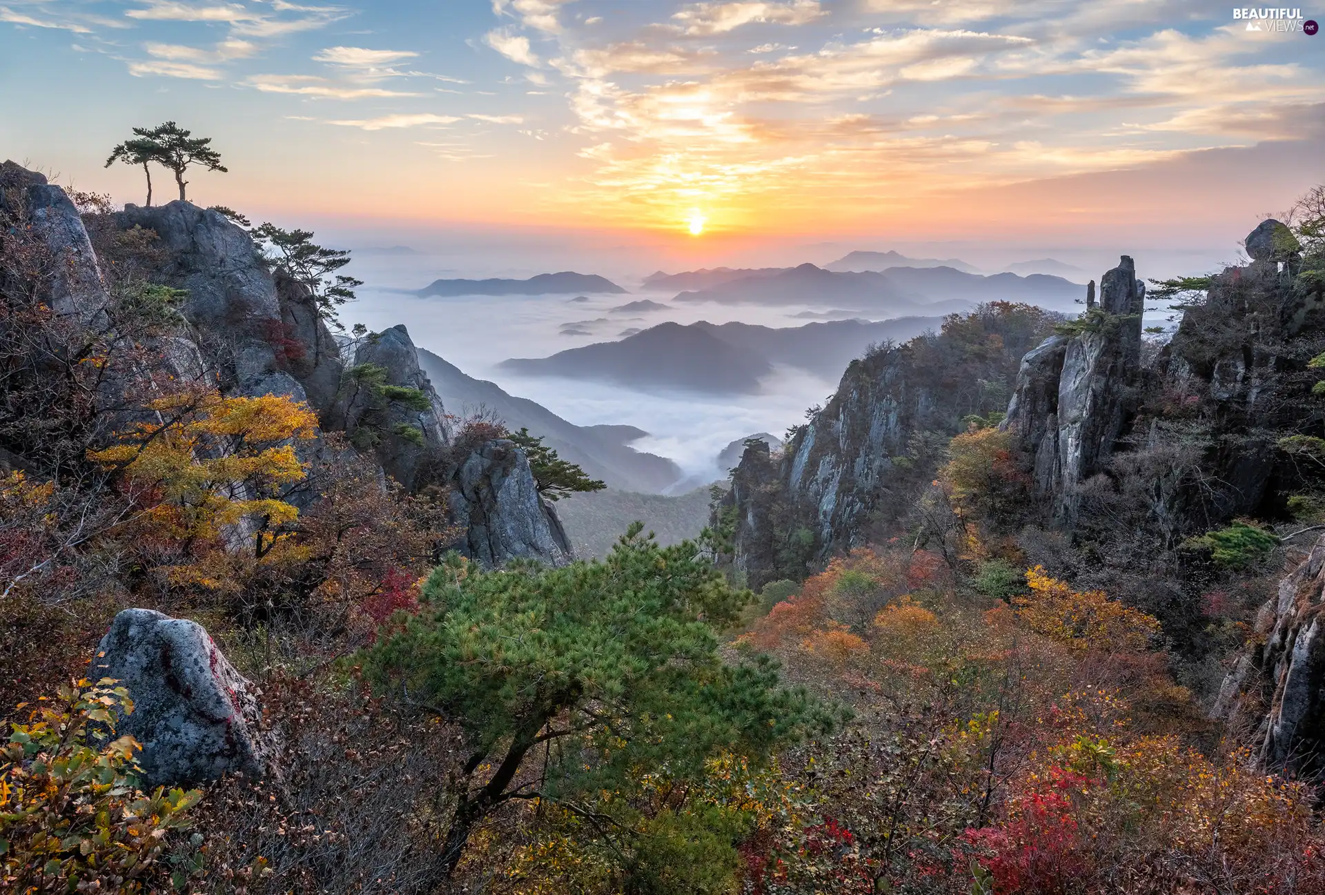 trees, Daedunsan Provincial Park, viewes, pine, autumn, South Korea, Fog, Sunrise, rocks