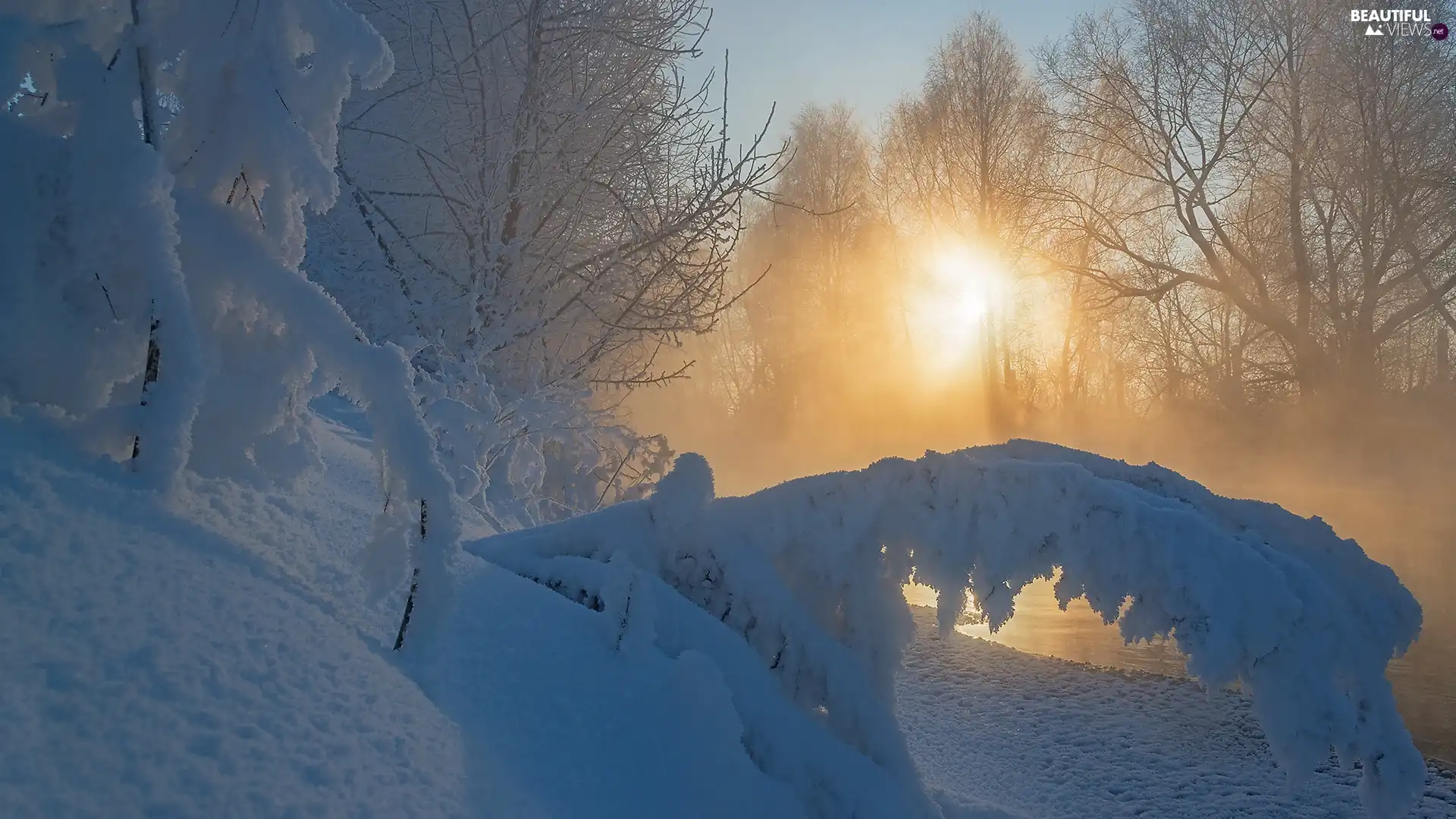 trees, winter, Sunrise, Fog, viewes, River