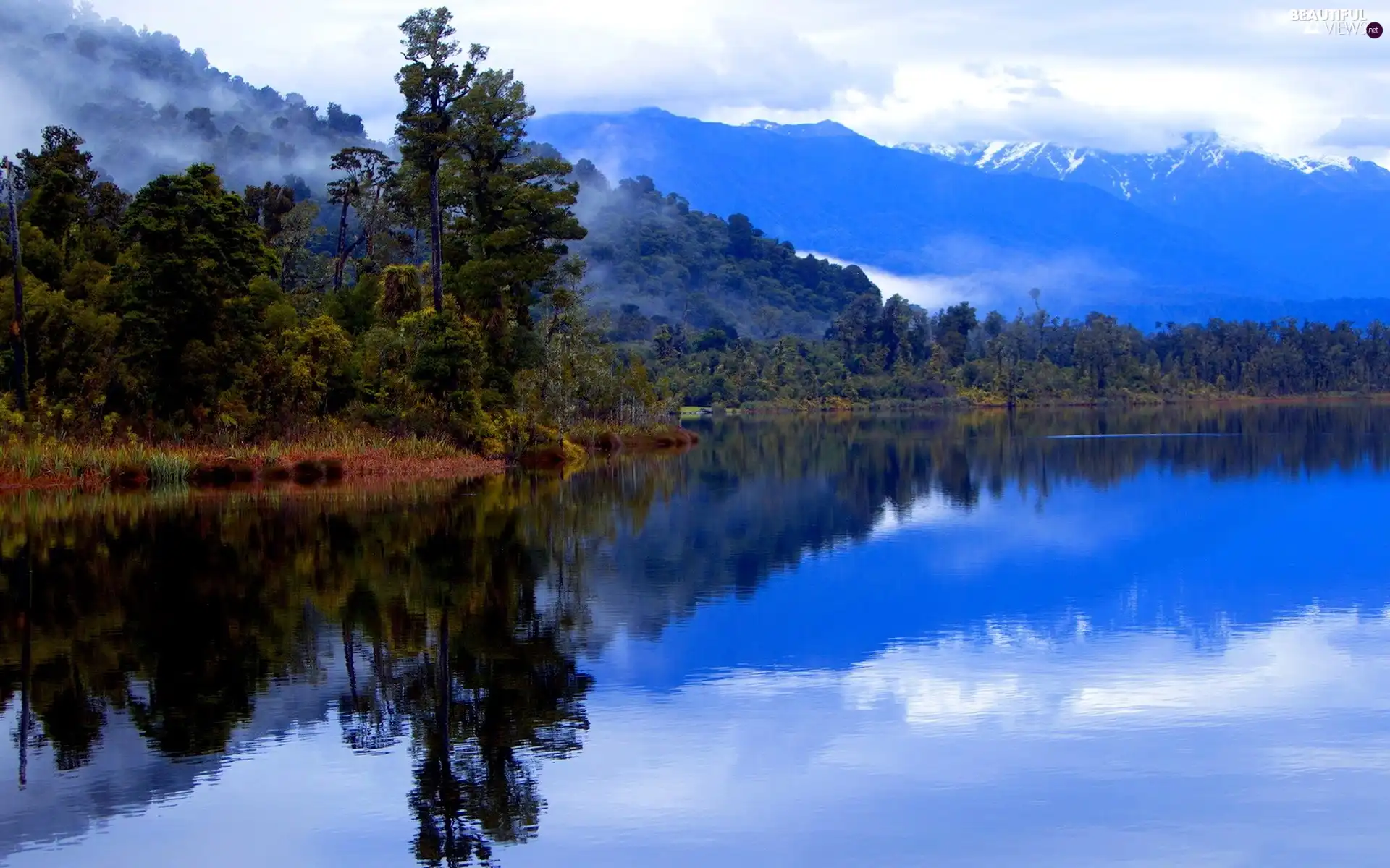 River, woods, Fog, Mountains