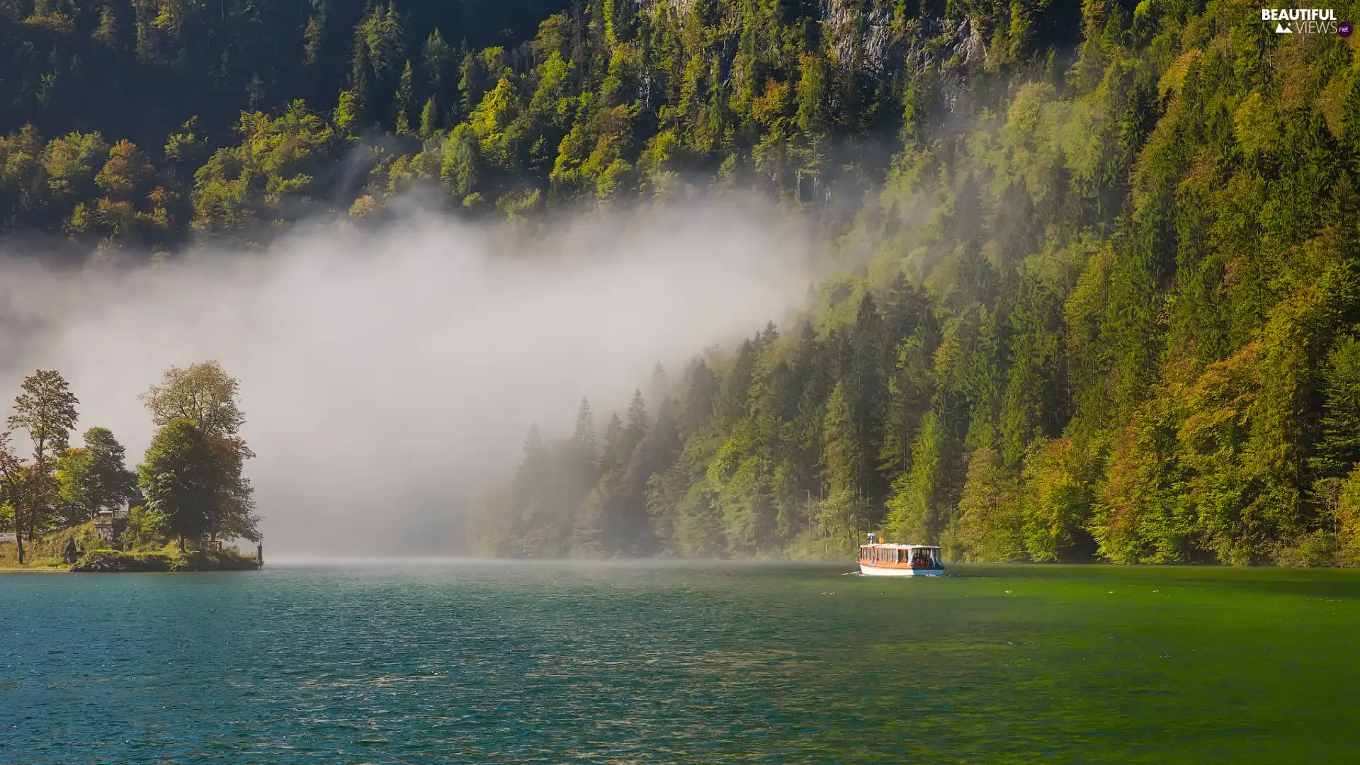 trees, River, forest, Fog, viewes, Ship