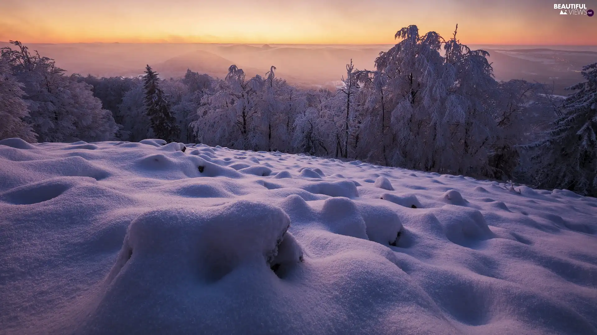 drifts, winter, viewes, Fog, trees, snow