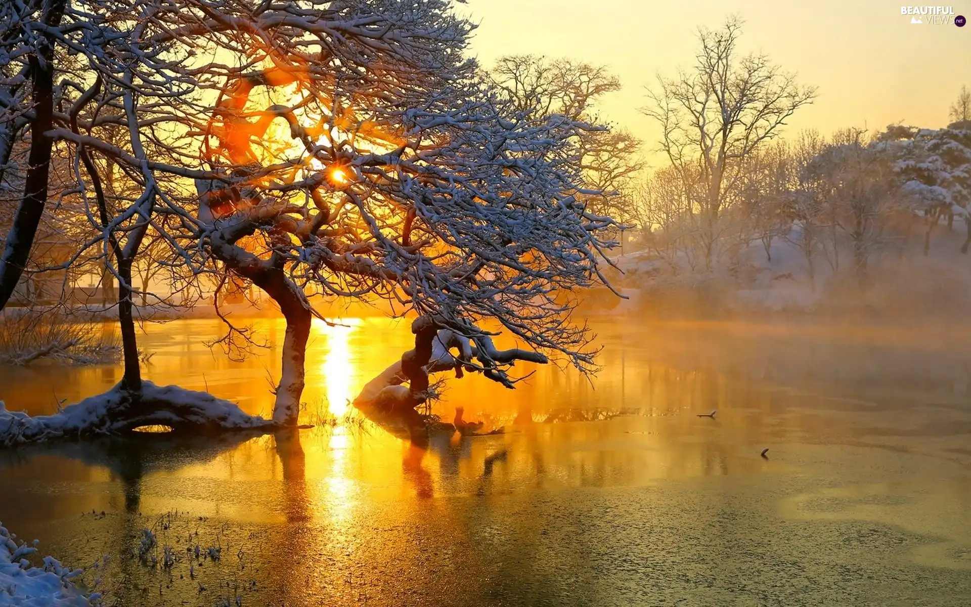 viewes, River, west, trees, winter, Fog, sun