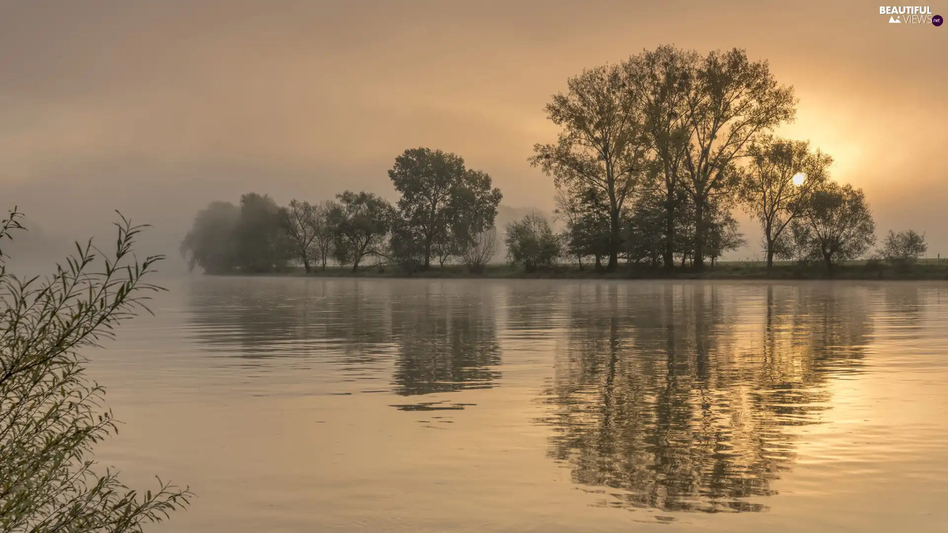 trees, viewes, lake, Fog, Great Sunsets