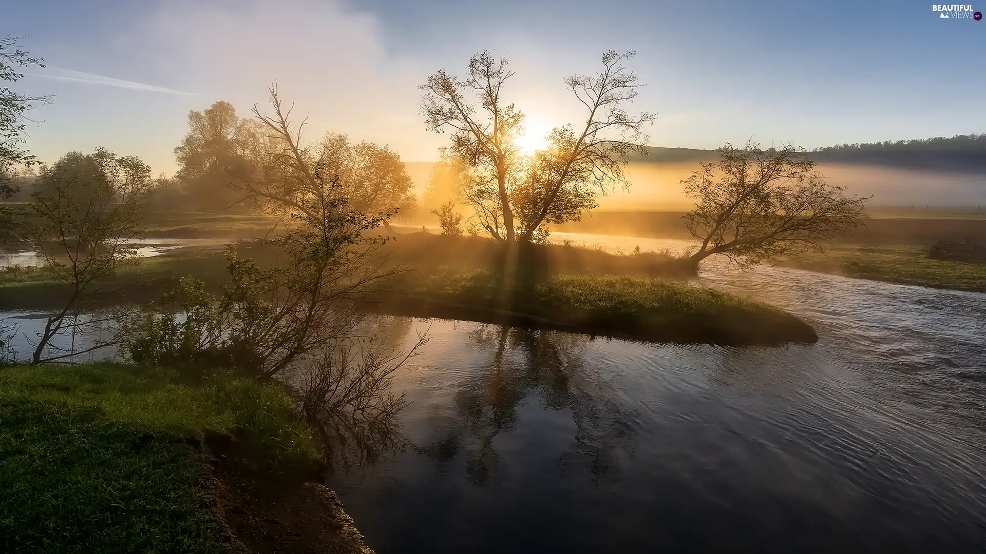 viewes, River, morning, Fog, Sunrise, trees