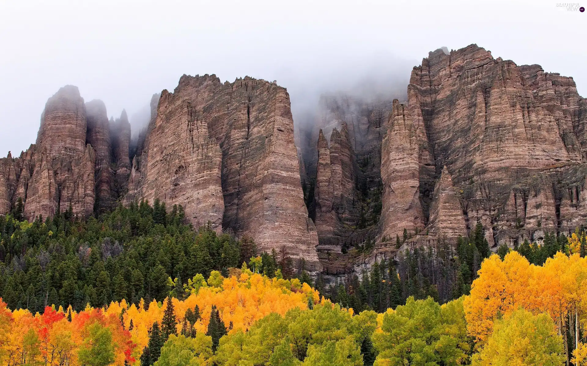 trees, Mountains, Fog, viewes