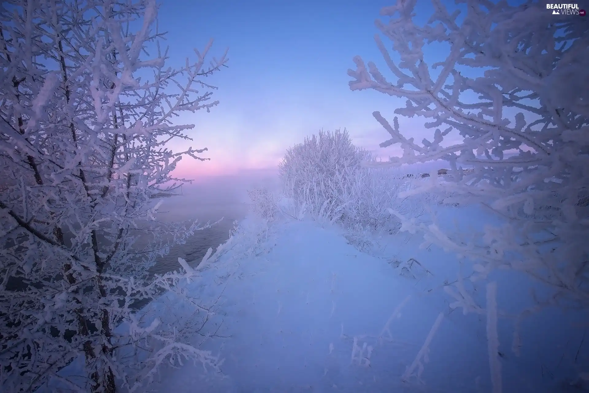 viewes, winter, River, Fog, Bush, trees