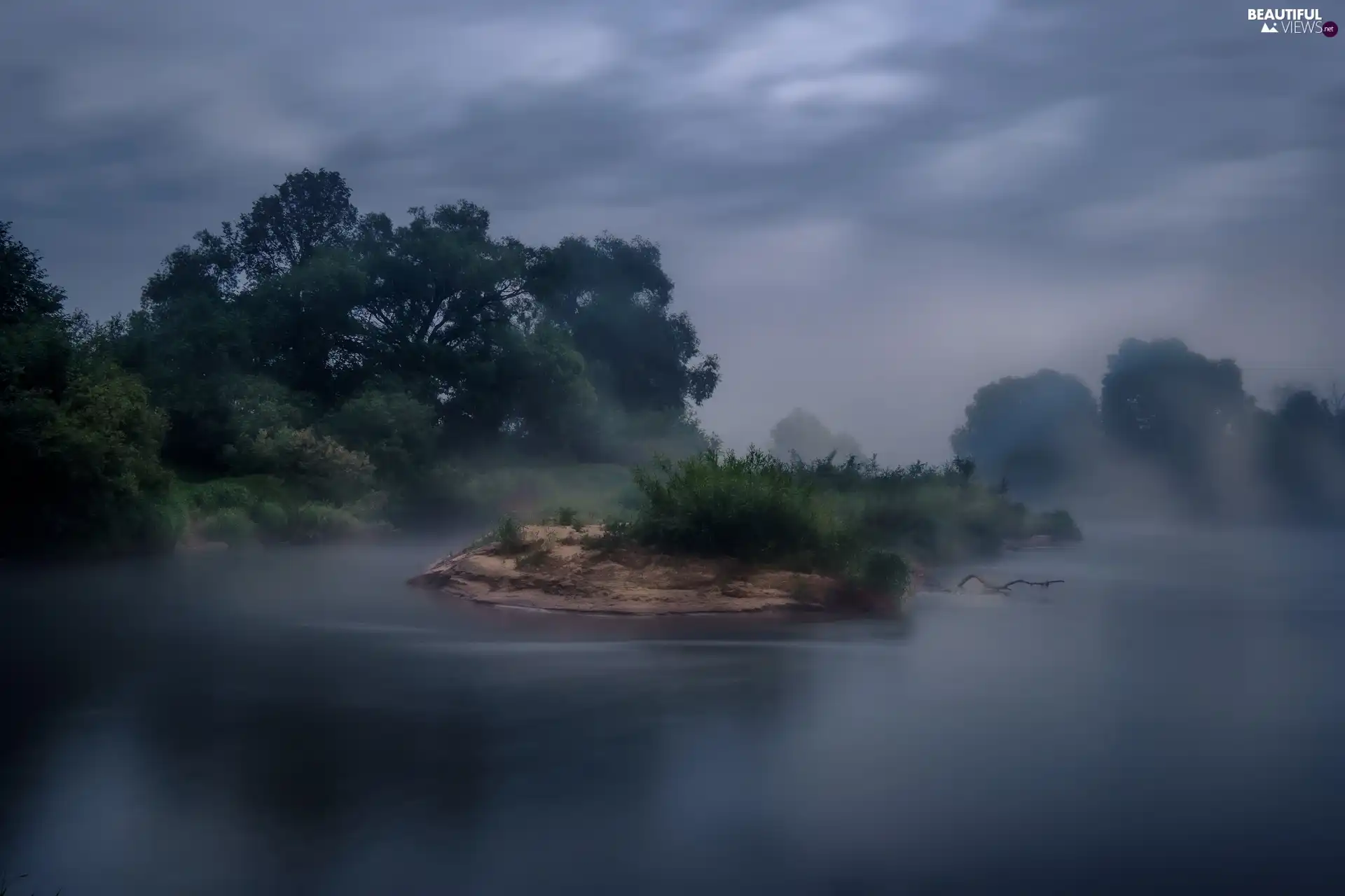 Bush, Fog, trees, viewes, River