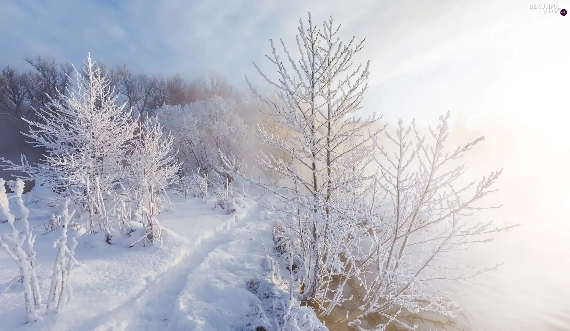 viewes, winter, River, Fog, Path, trees