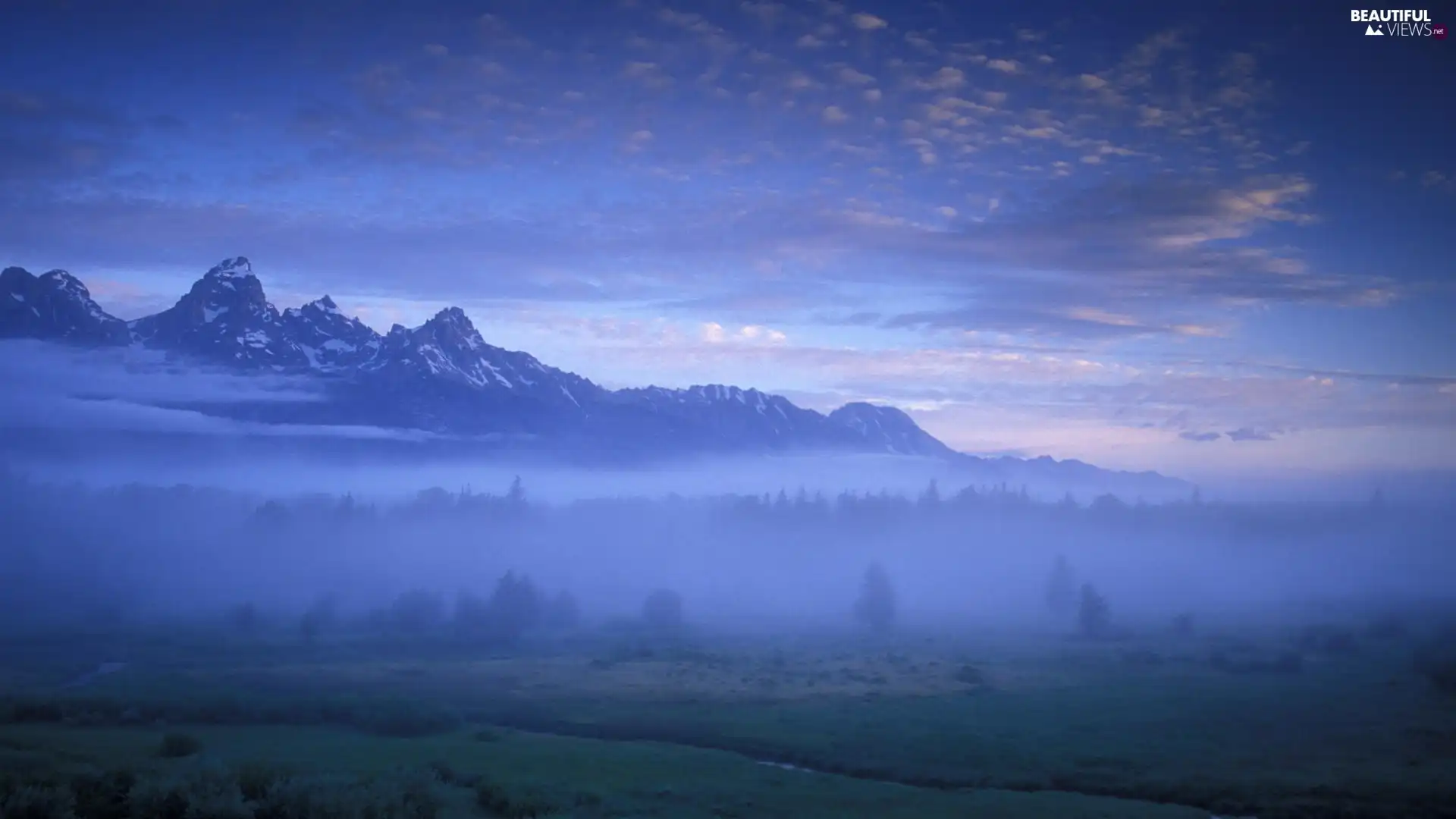 snow, Mountains, Fog, Valley, forest, height