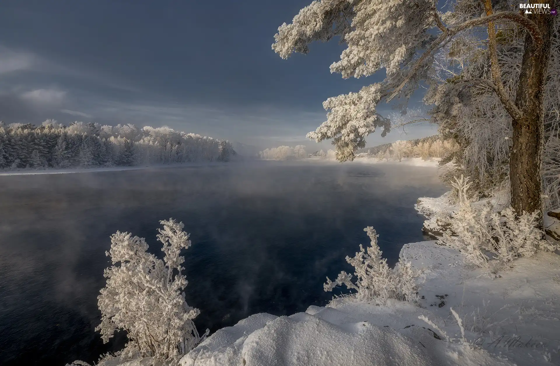 Snowy, River, viewes, Fog, winter, trees, Fog
