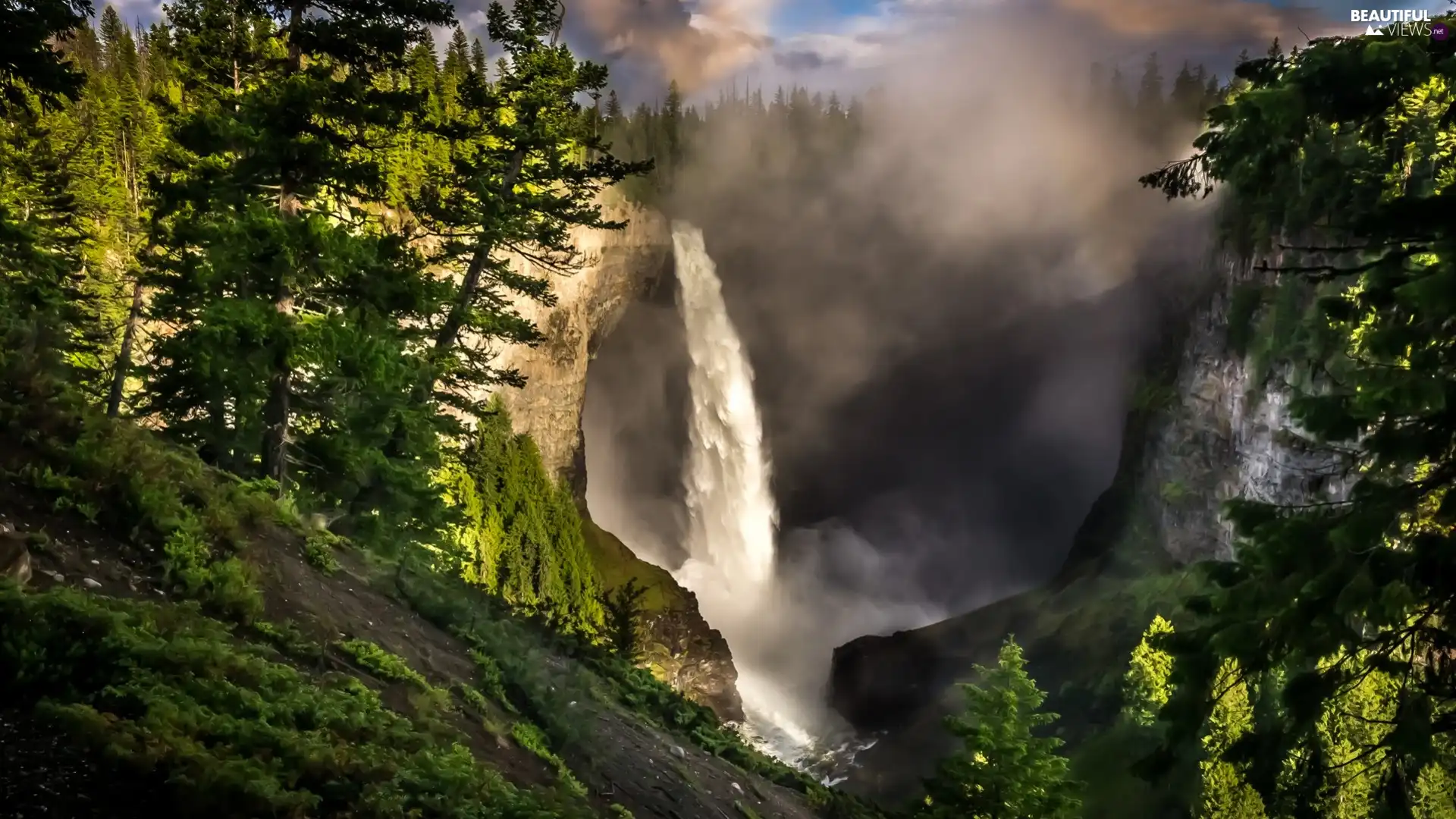 Fog, forest, waterfall