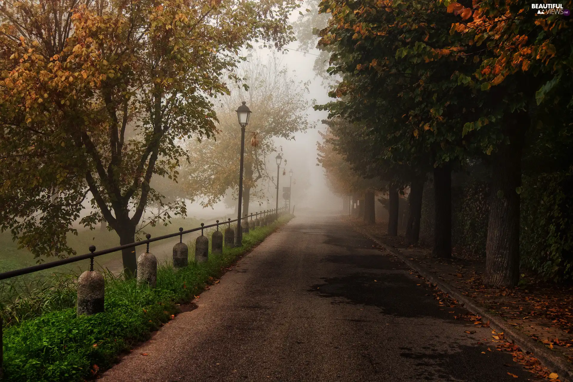 trees, autumn, lanterns, Fog, viewes, Way