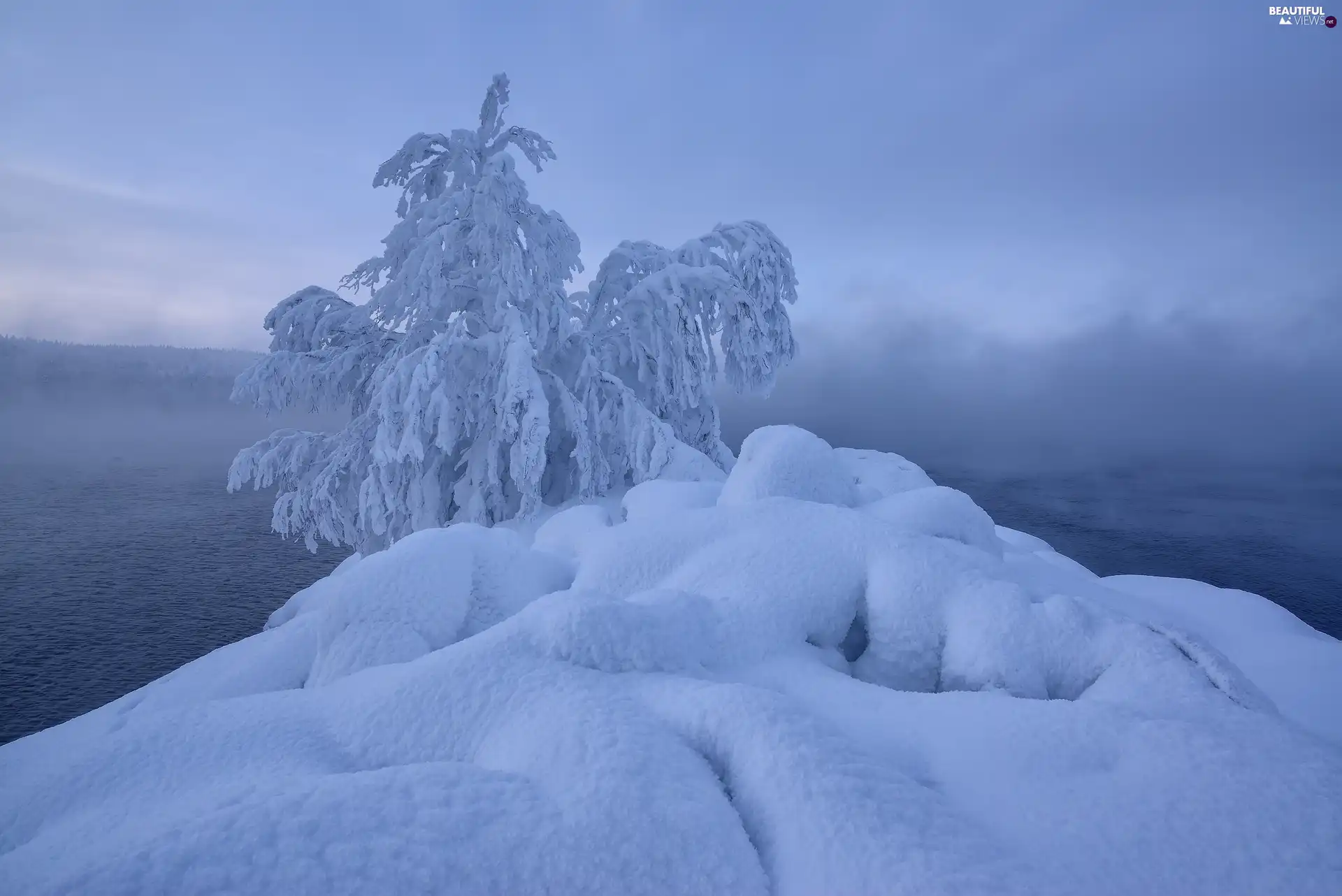 Snowy, River, viewes, Fog, trees, winter