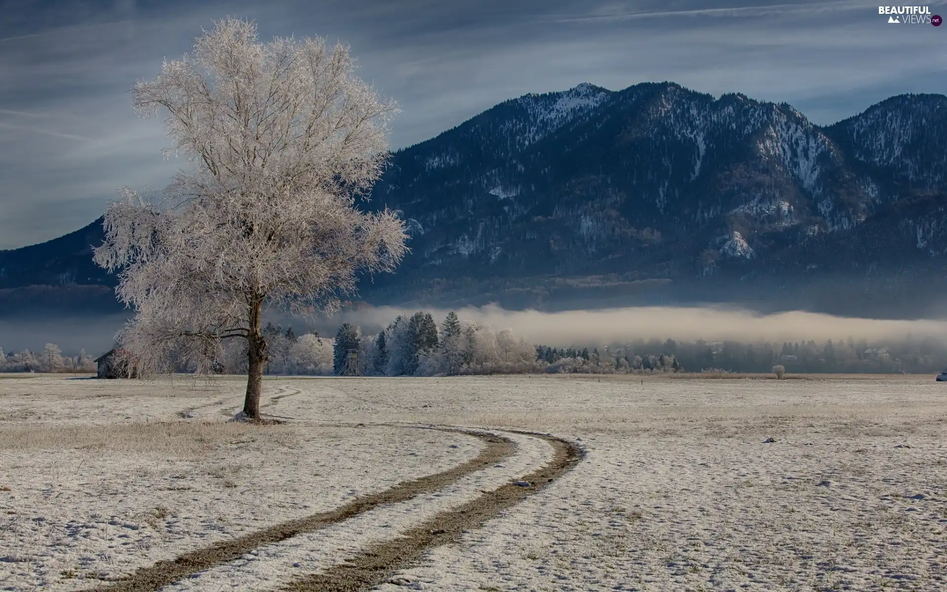 Mountains, field, Fog, winter, woods, Way