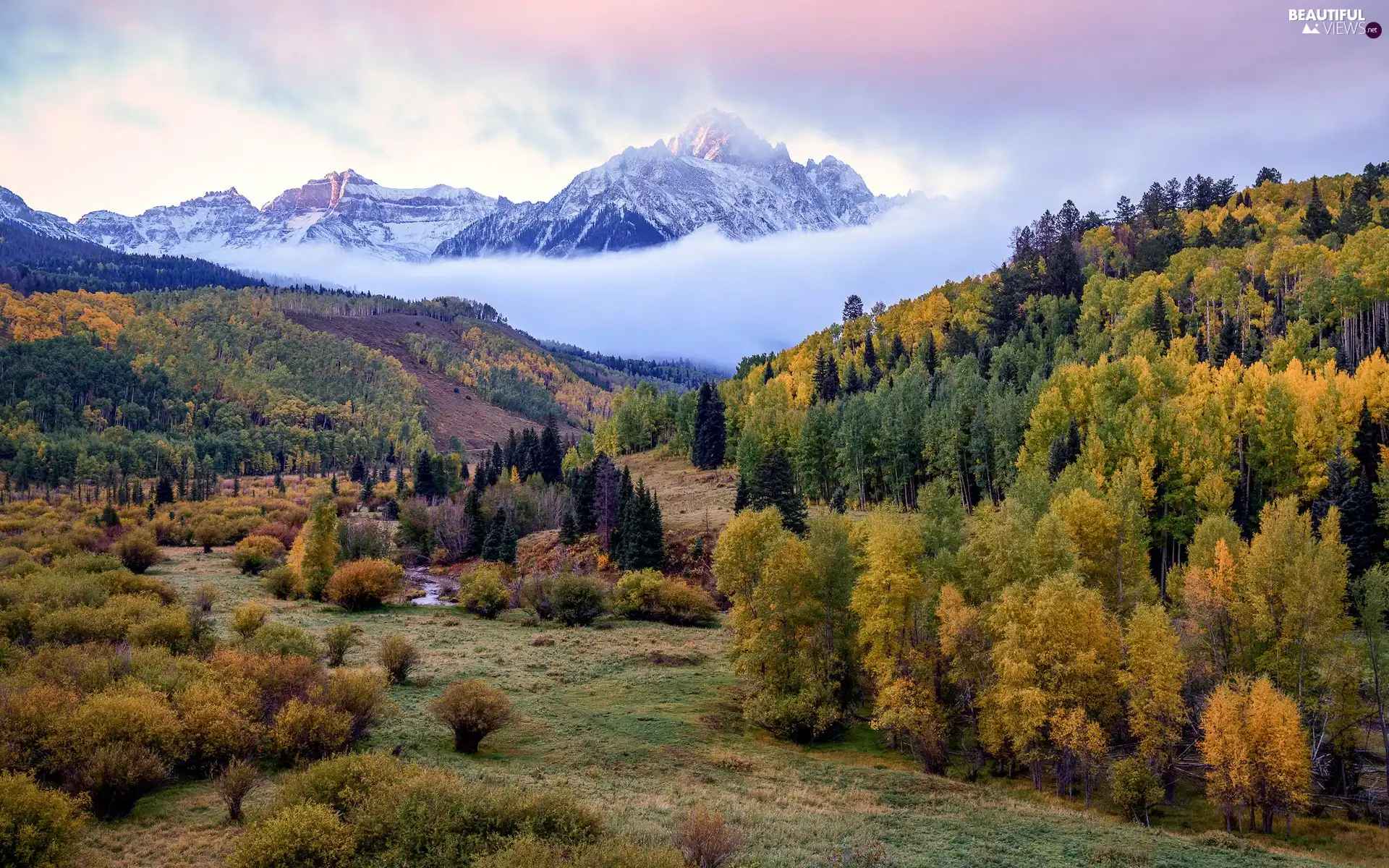 viewes, Fog, woods, trees, Mountains