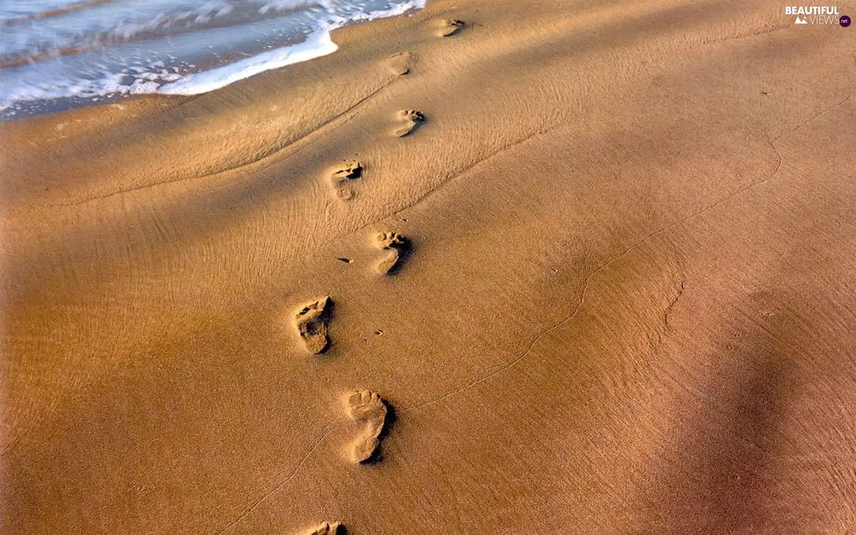 Foot, Beaches, Sand