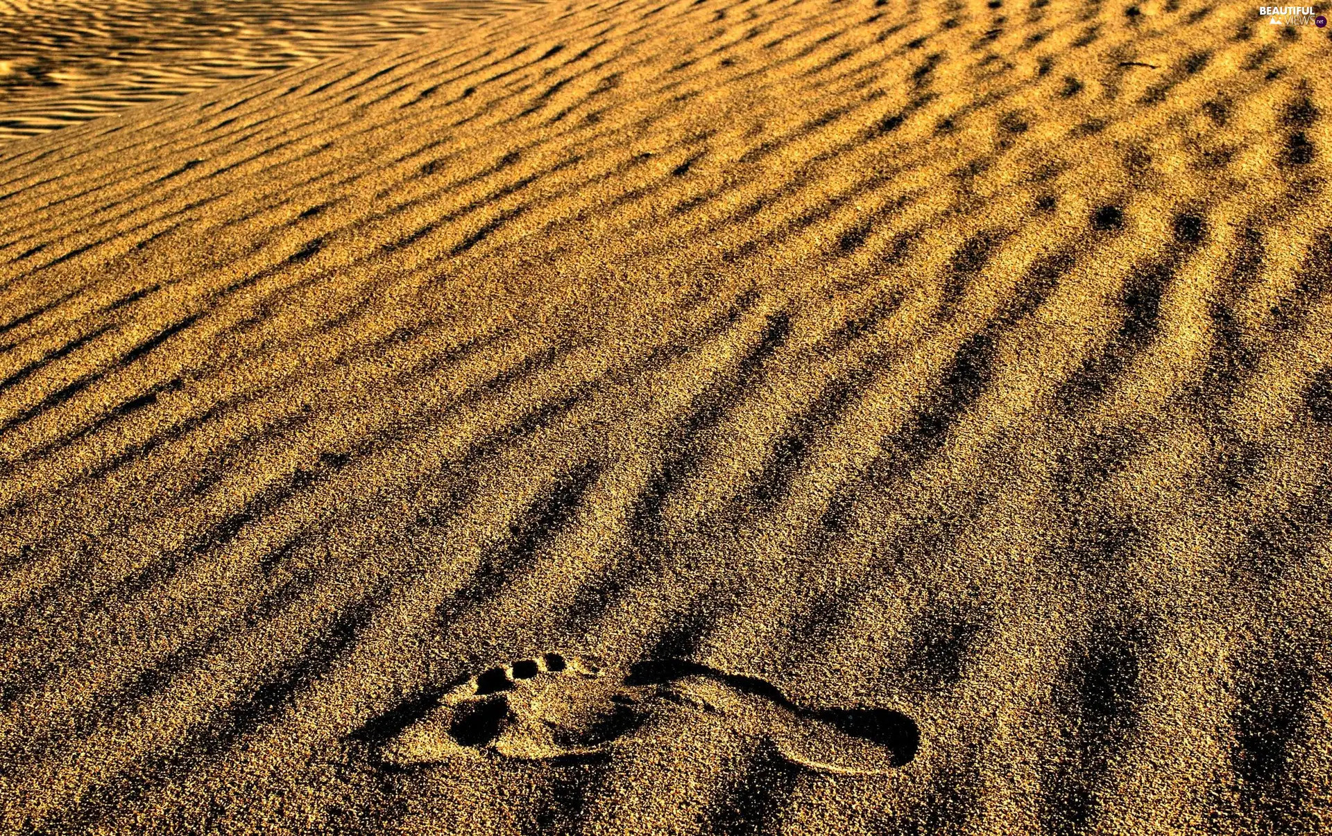 foot, Desert, Sand