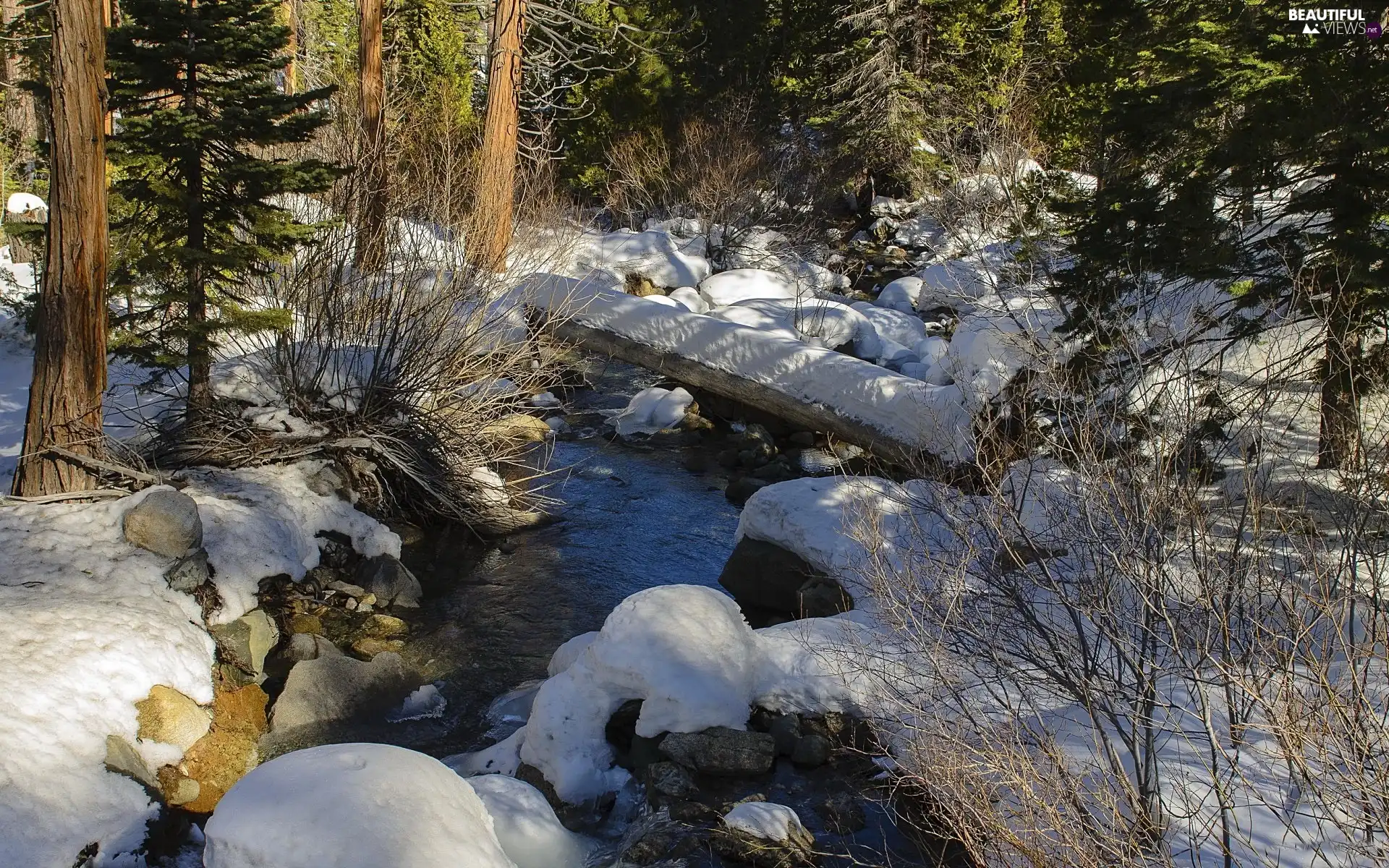 Winter Stream Footbridge Forest Beautiful Views Wallpapers 1920x1200