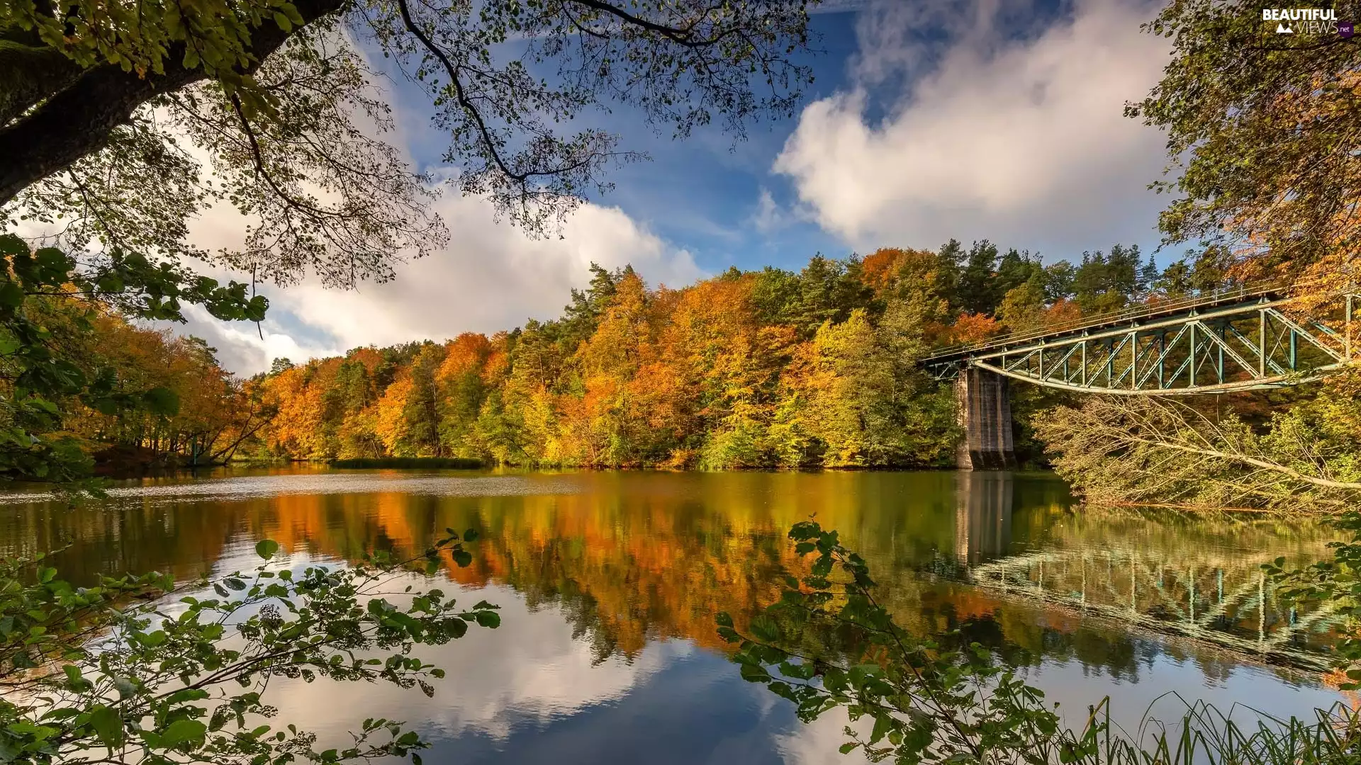 trees, bridge, autumn, forest, lake, viewes, clouds