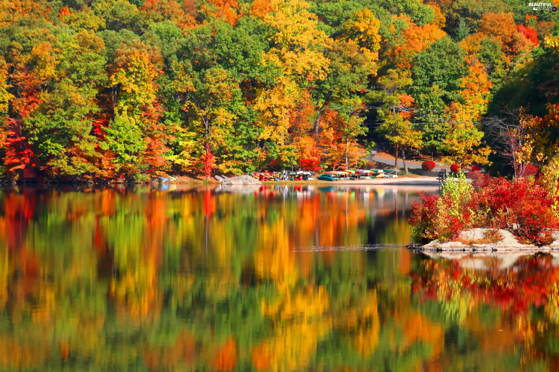 forest, lake, Autumn