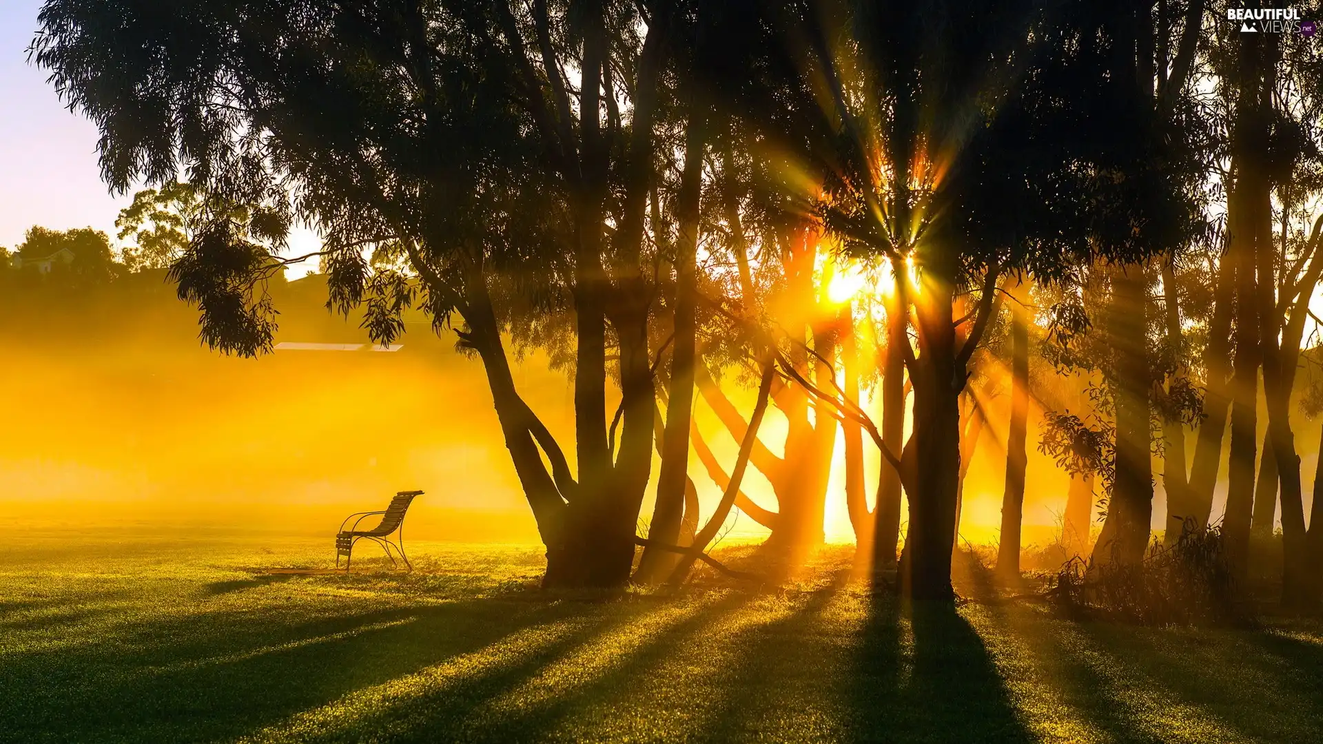 Sunrise, forest, Bench, rays - Beautiful views wallpapers: 1920x1080