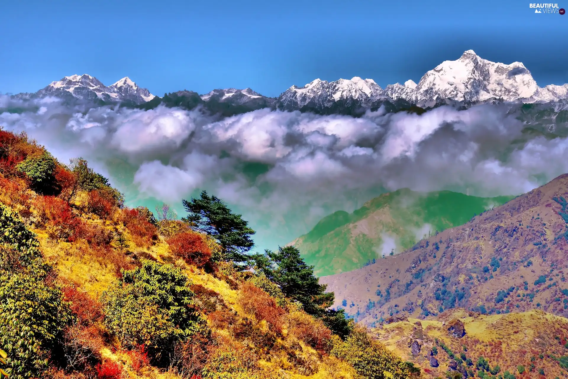 forest, Mountains, clouds