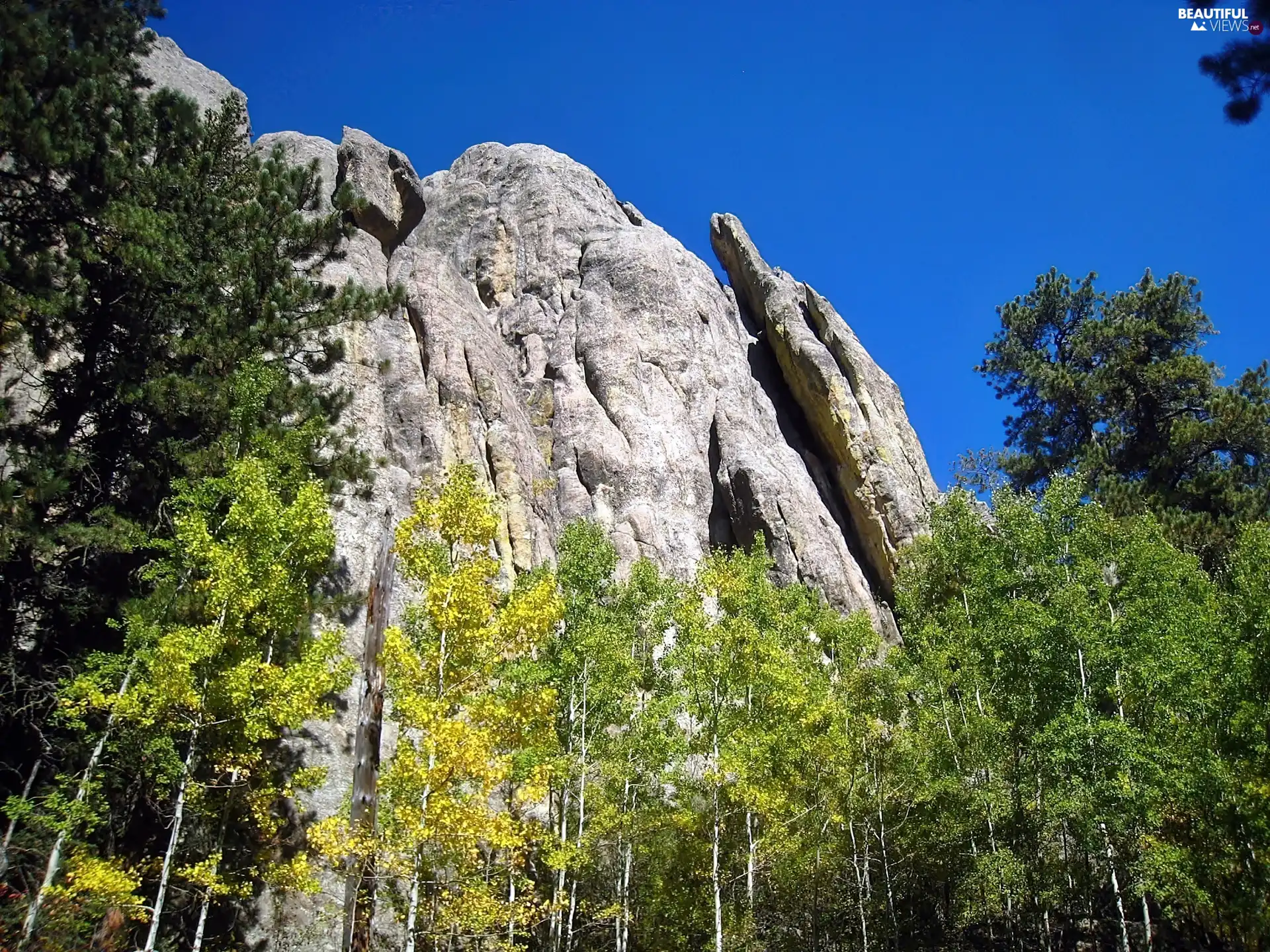 Dakota, rocks, forest, South