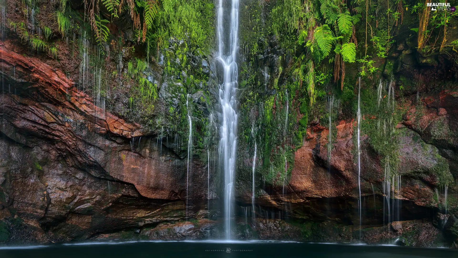 waterfall, madeira, fern, forest, Portugal, rocks, VEGETATION