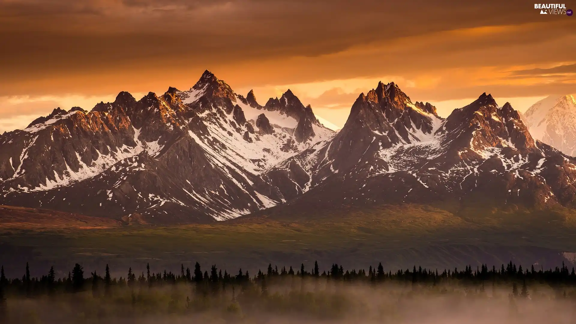 forest, Mountains, Fog