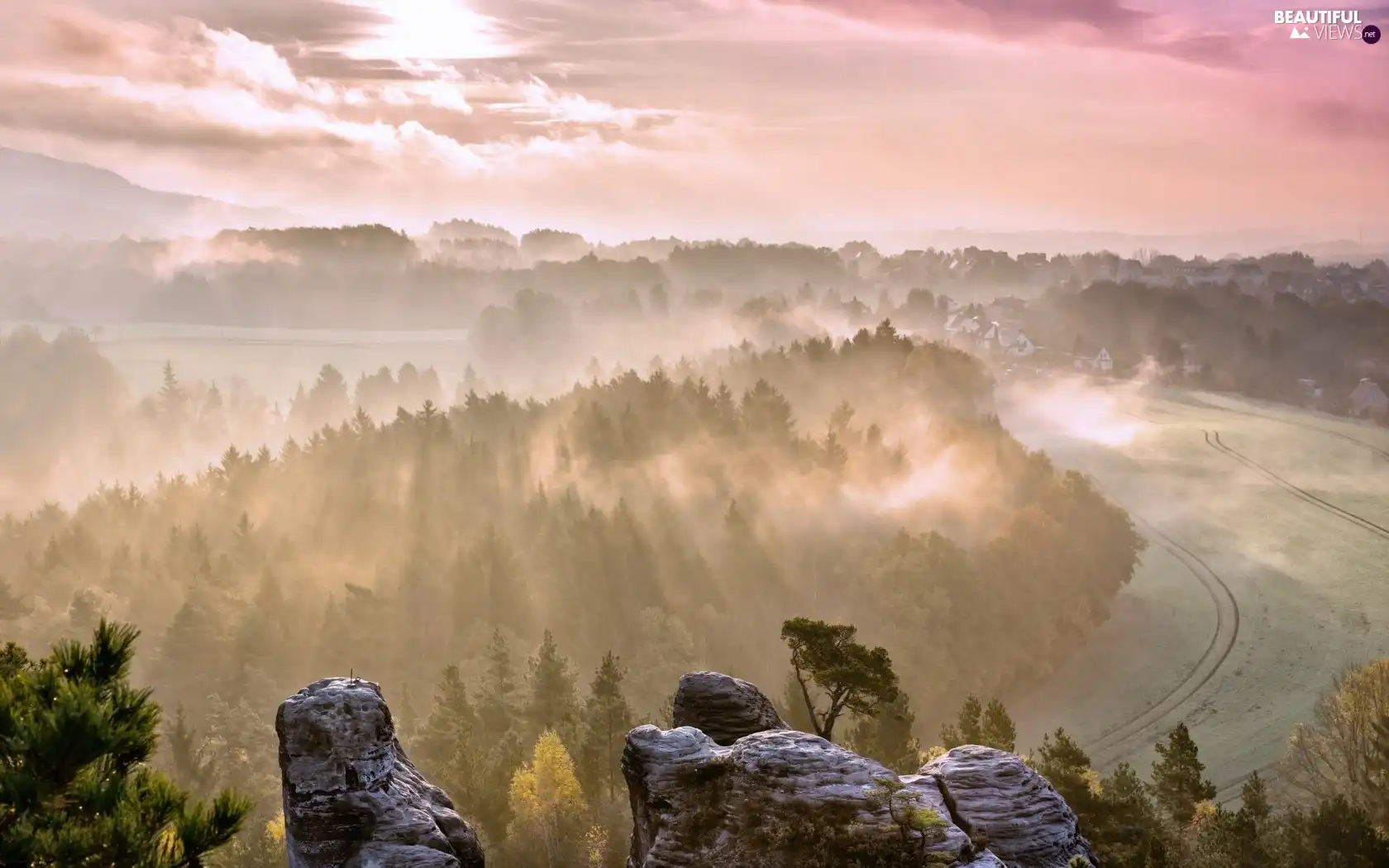 forest, Fog, trees, viewes, rocks