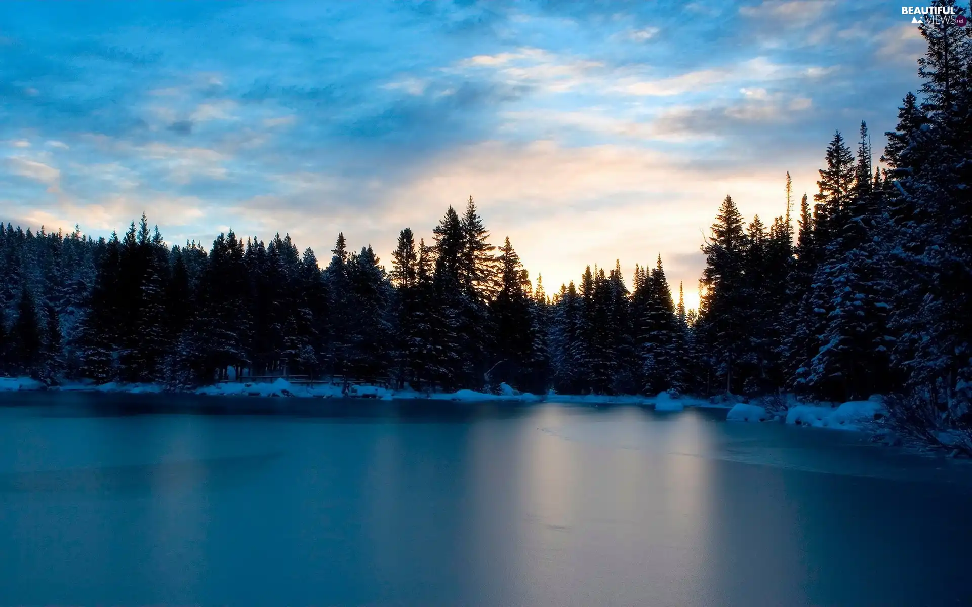 frozen, snow, forest, lake