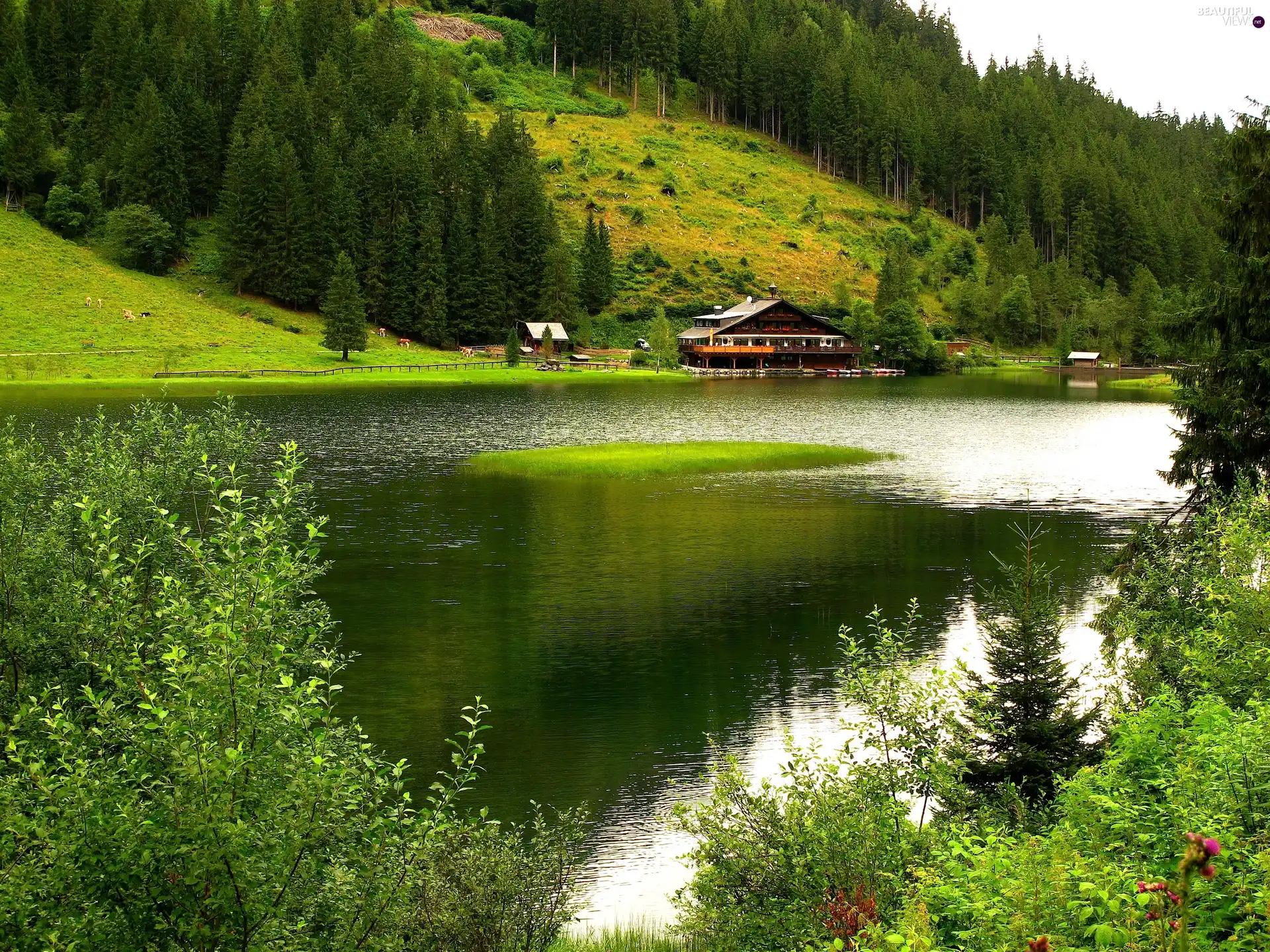 Hotel hall, lake, forest