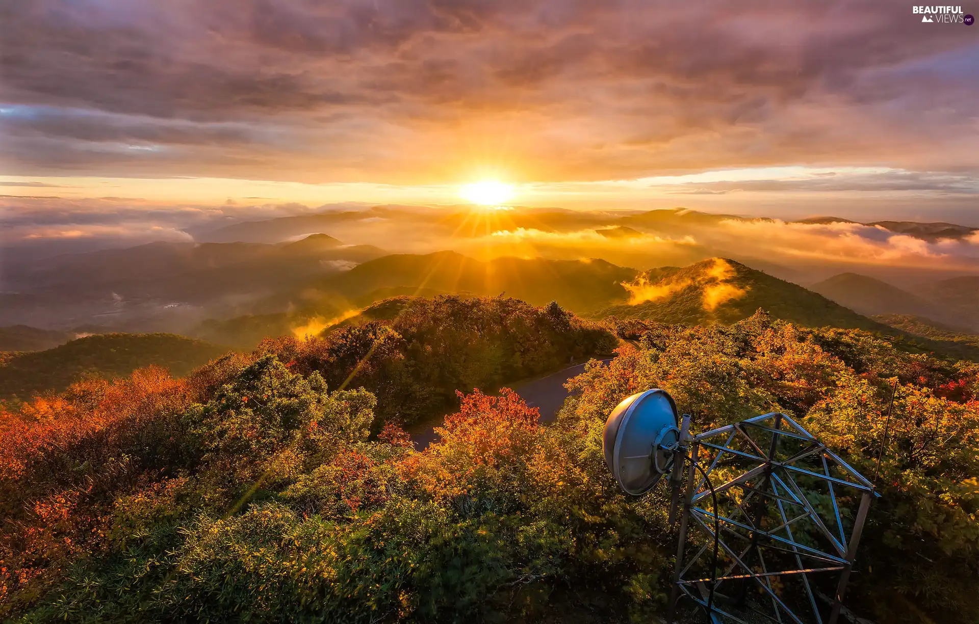 forest, autumn, Sunrise, trees, Leaf, aerial, Mountains, The Hills, viewes