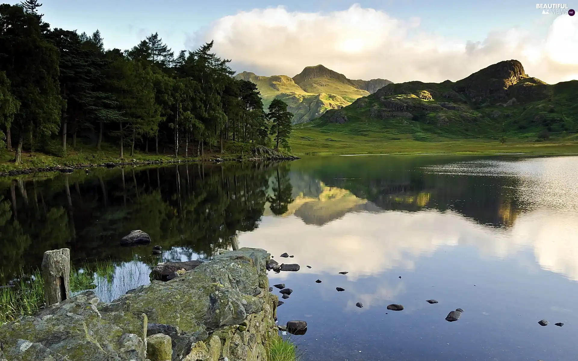 The Hills, lake, forest