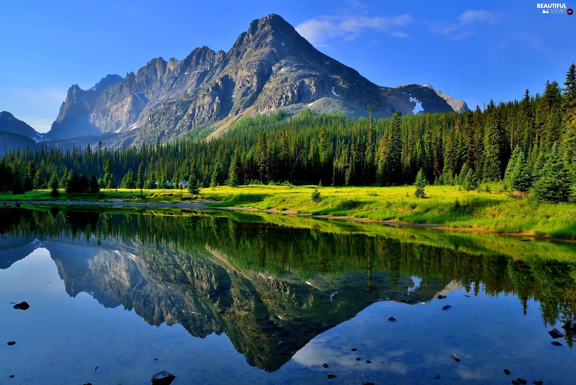 forest, Summer Morning, Houses, reflection, lake, Mountains