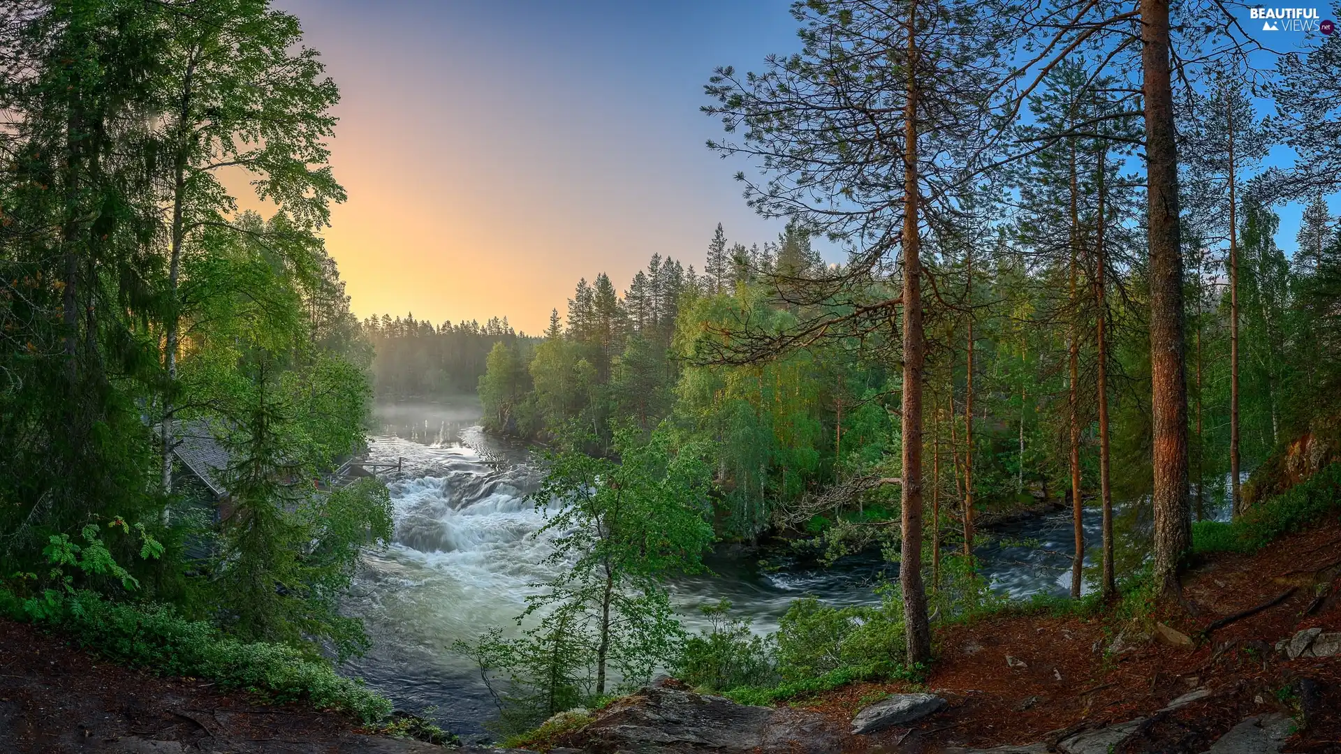 Lapland, Finland, Kitkajoki River, Oulanka National Park, trees, viewes, forest, River, Spring