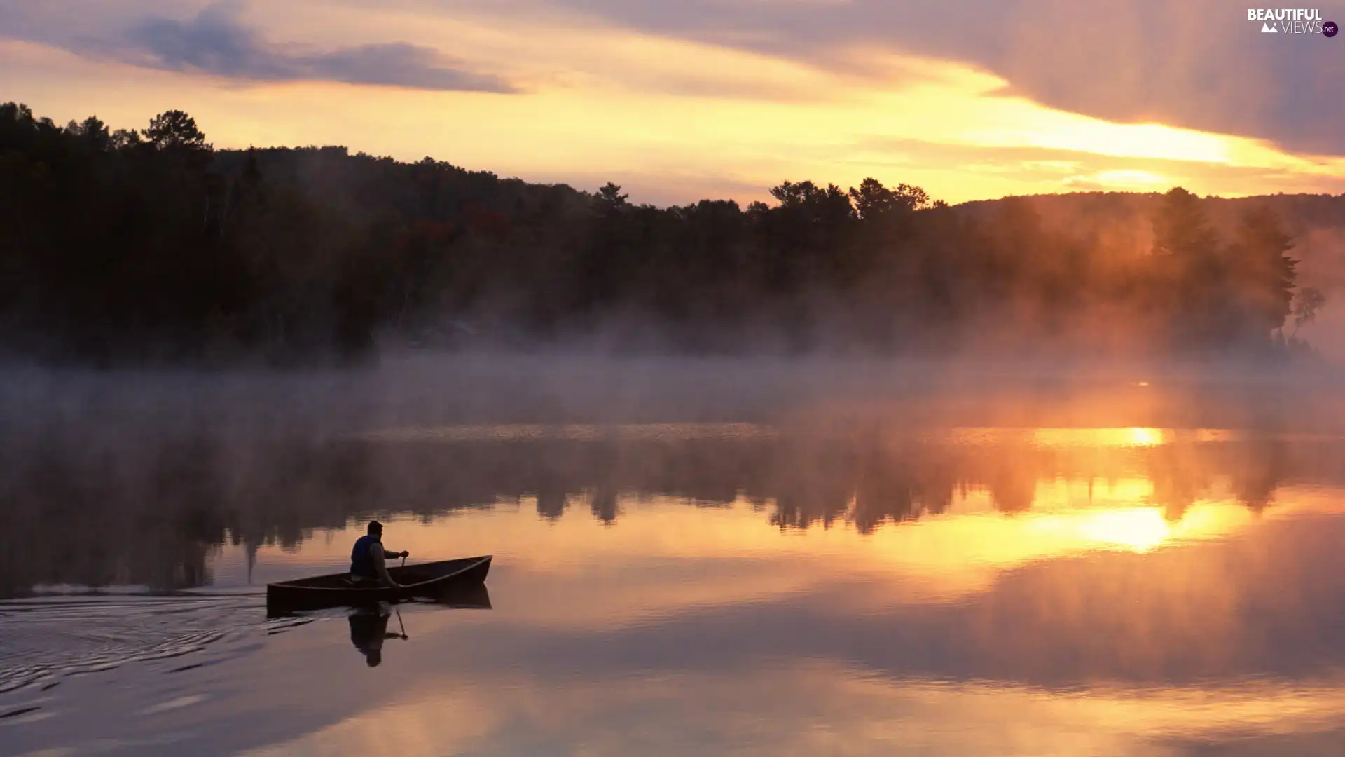 lake, Fog, forest, Boat