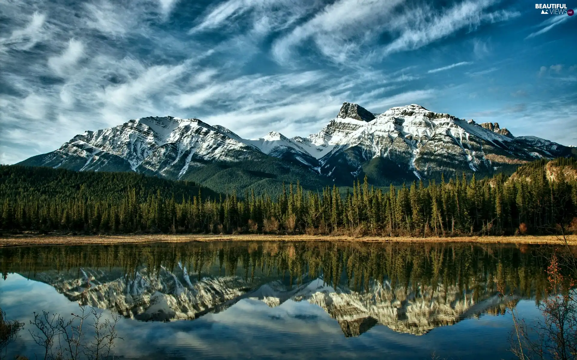 forest, Mountains, lake