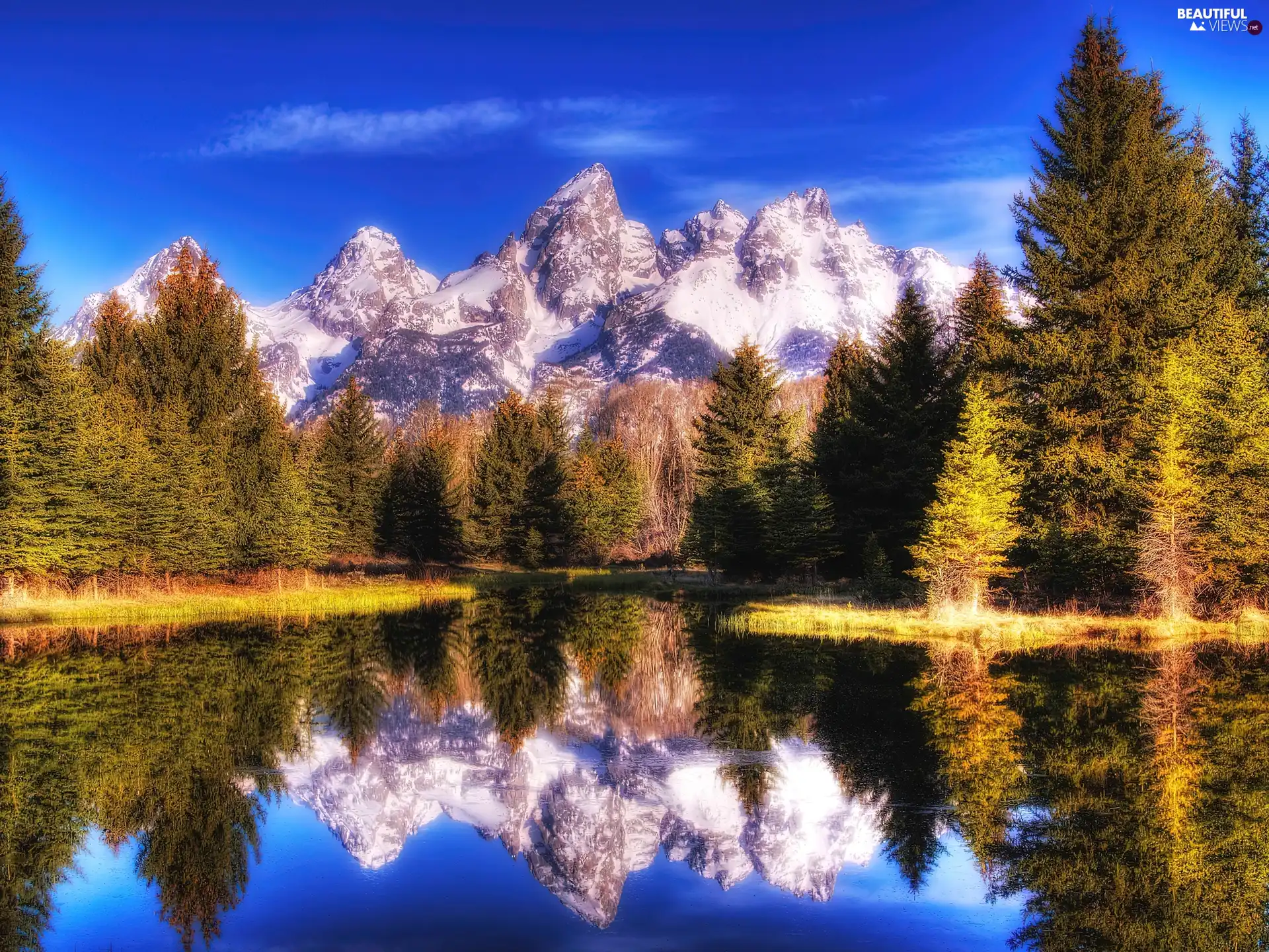 forest, Mountains, lake