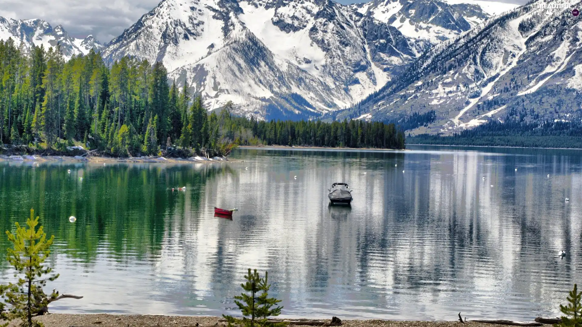 forest, Mountains, lake