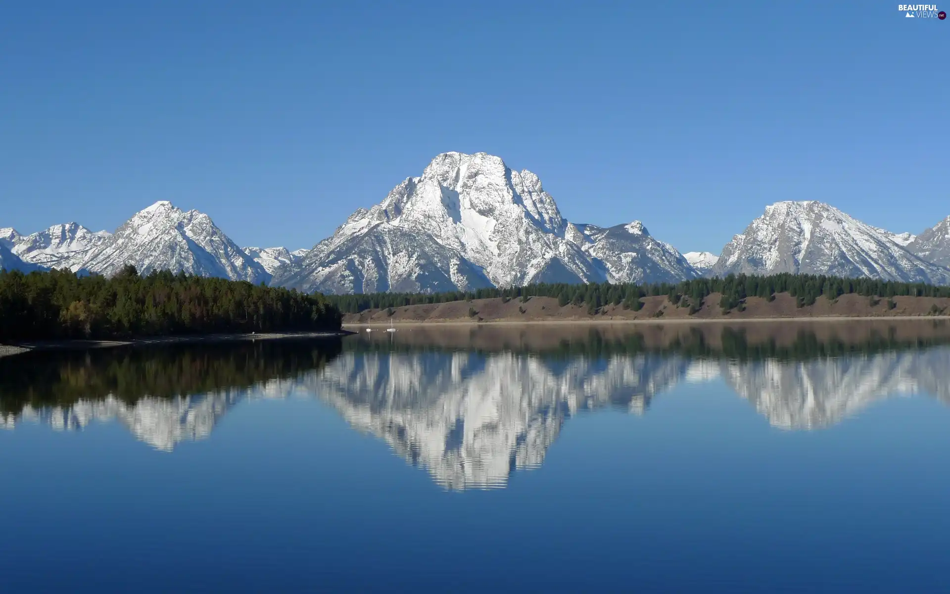 forest, lake, height, snow, Mountains